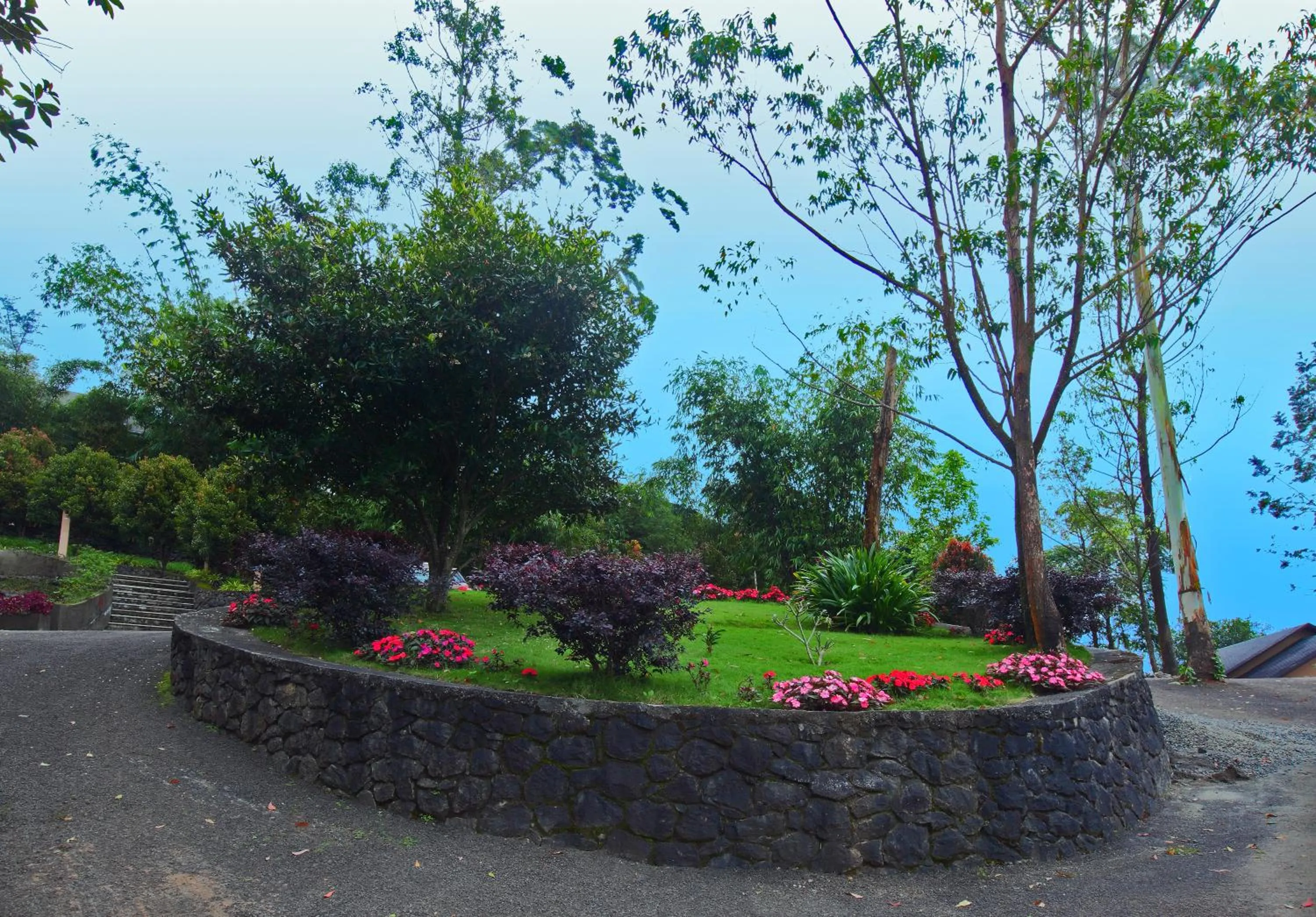 Natural landscape in Tea Terrain Resorts & Spa