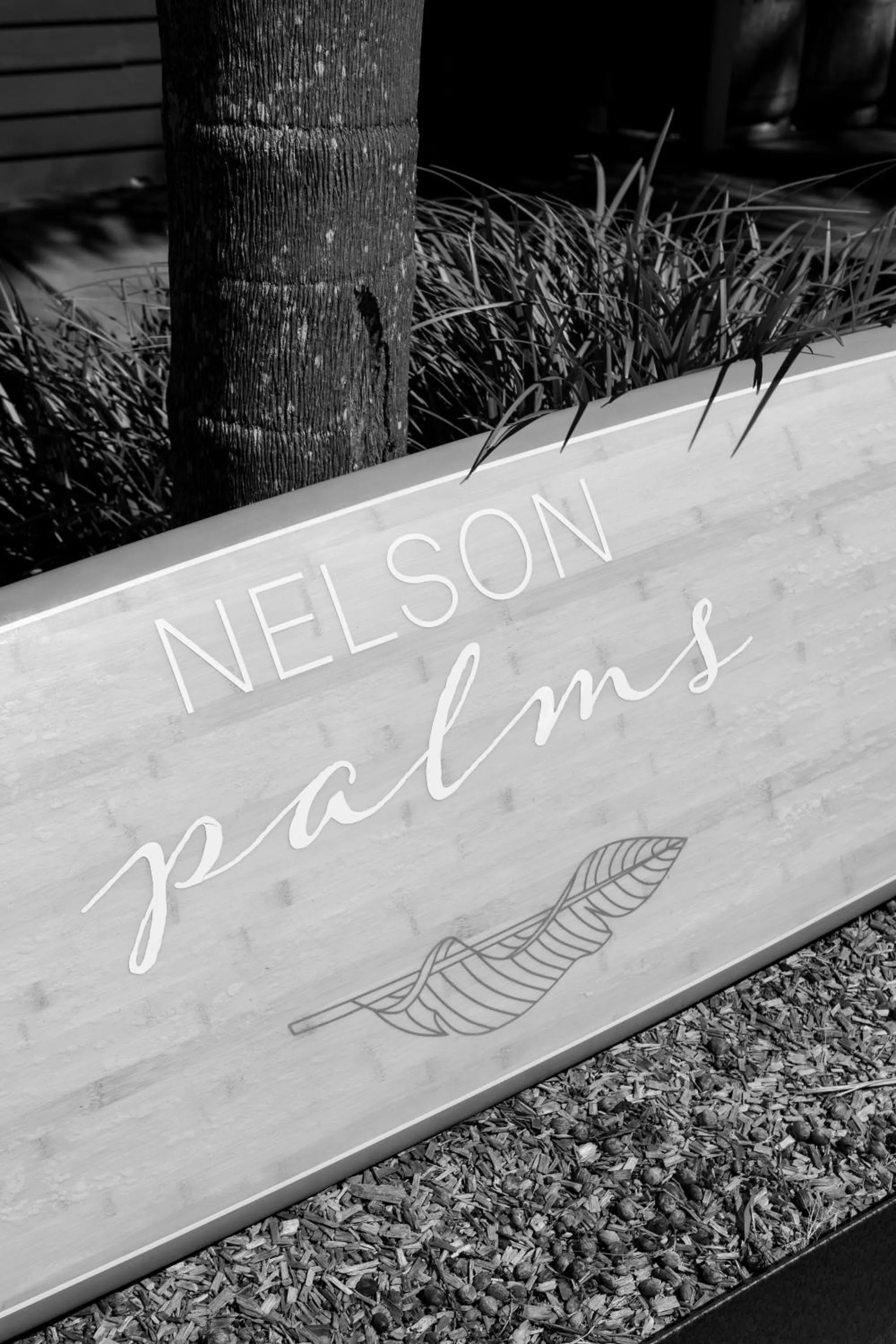 Nelson Palms