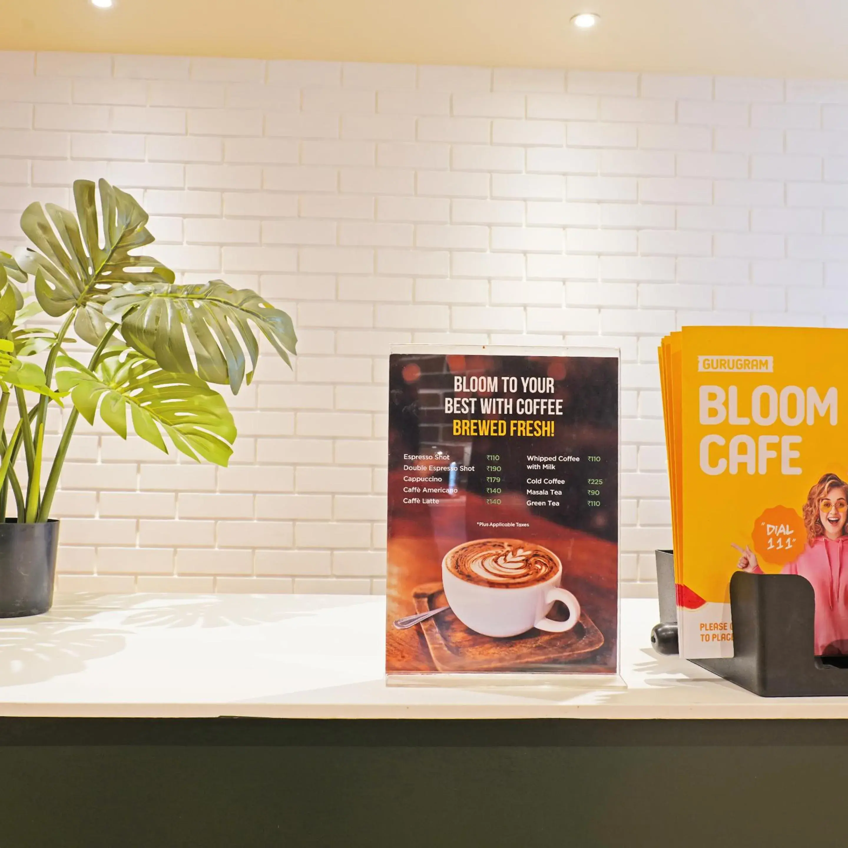 Restaurant/places to eat in Bloom - Golf Course Road Restaurant/places to eat in Bloom - Golf Course Road