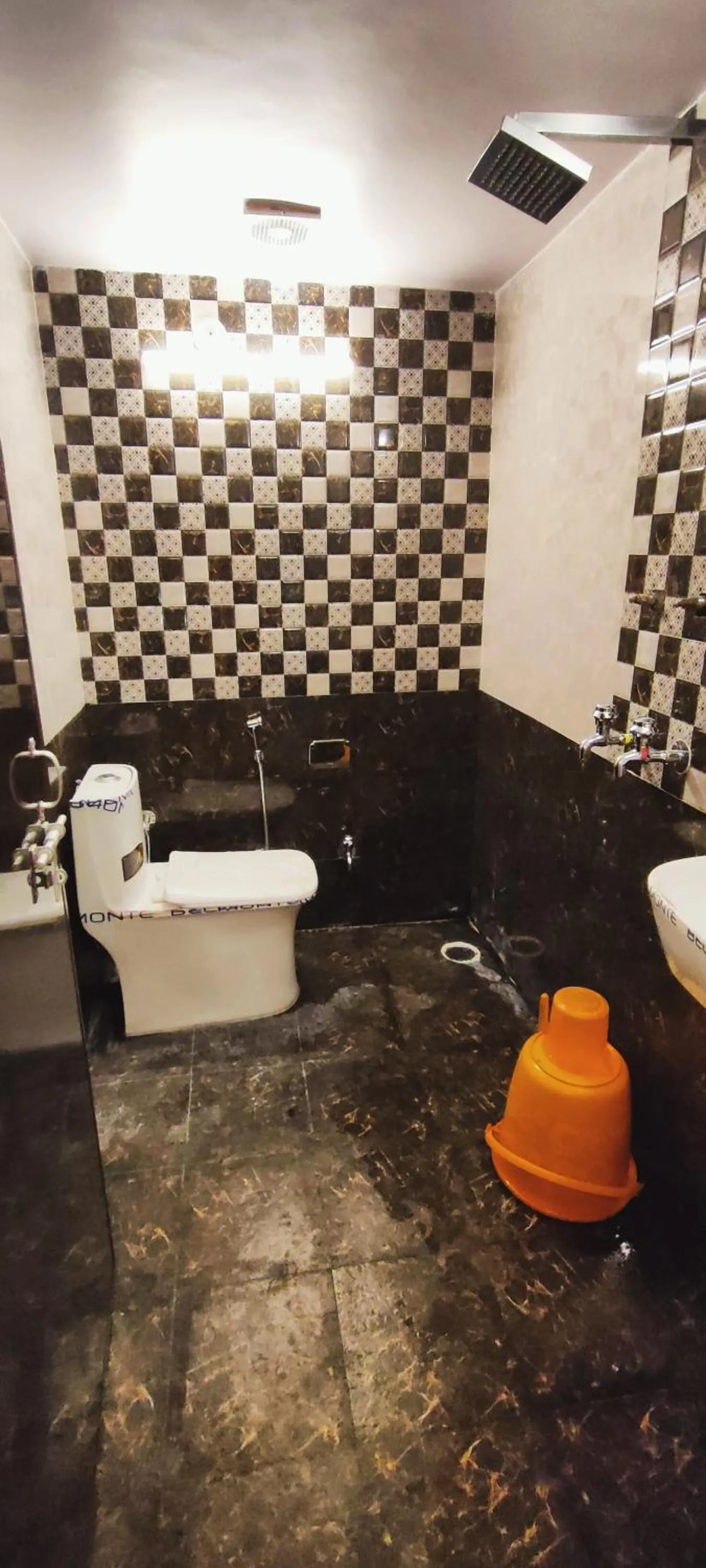 Shower in Hotel Shannti Inn