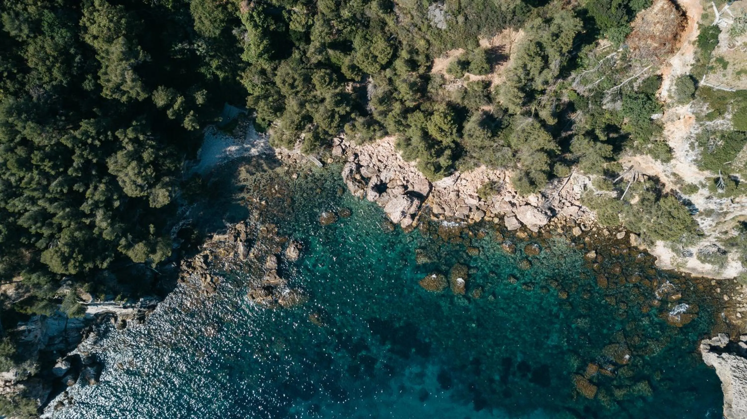 Natural landscape in Exclusive waterfront villa in Domaine Rocabella - French Riviera