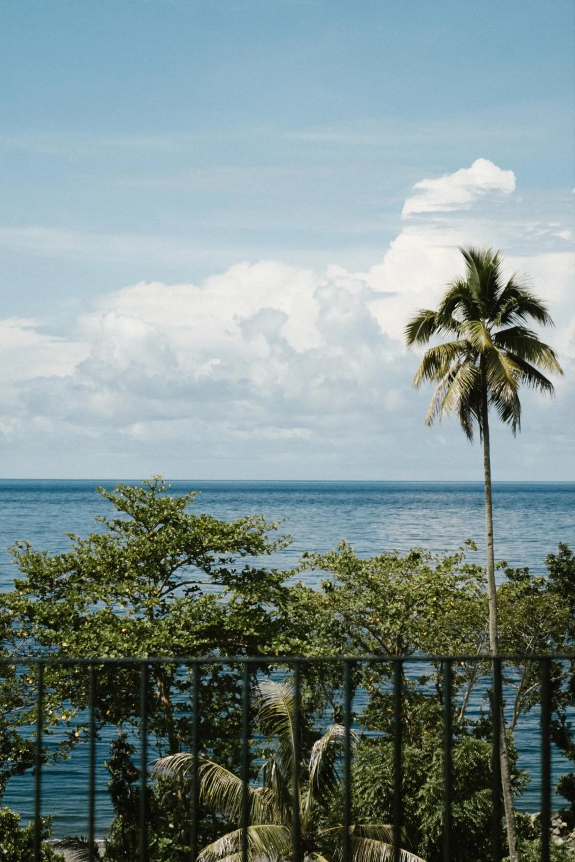 Natural landscape in Tahuna Beach Hotel and Resort