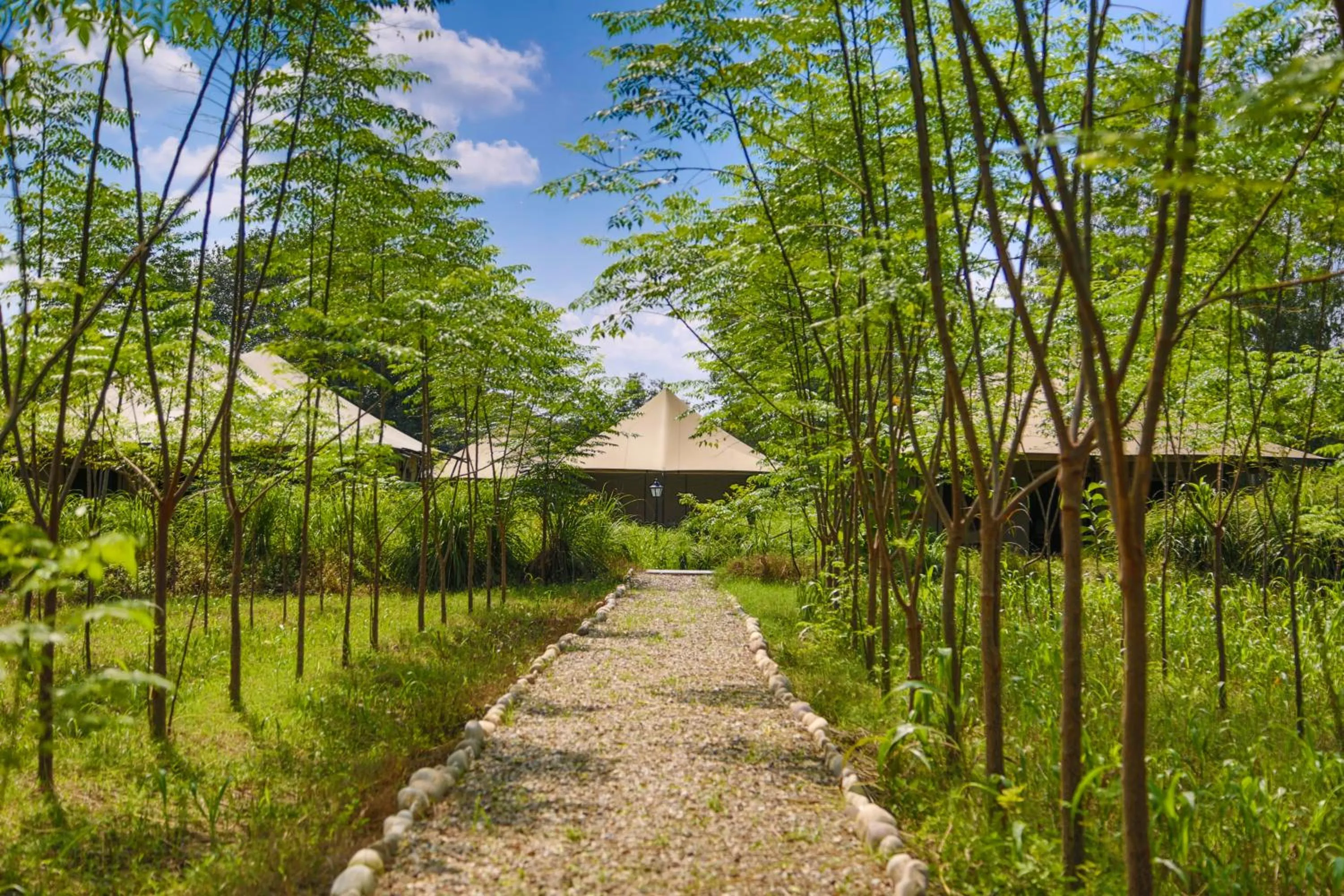 Area and facilities in Aalia Jungle Retreat and Spa, Bandarjudh, Haridwar - Araiya Anthology