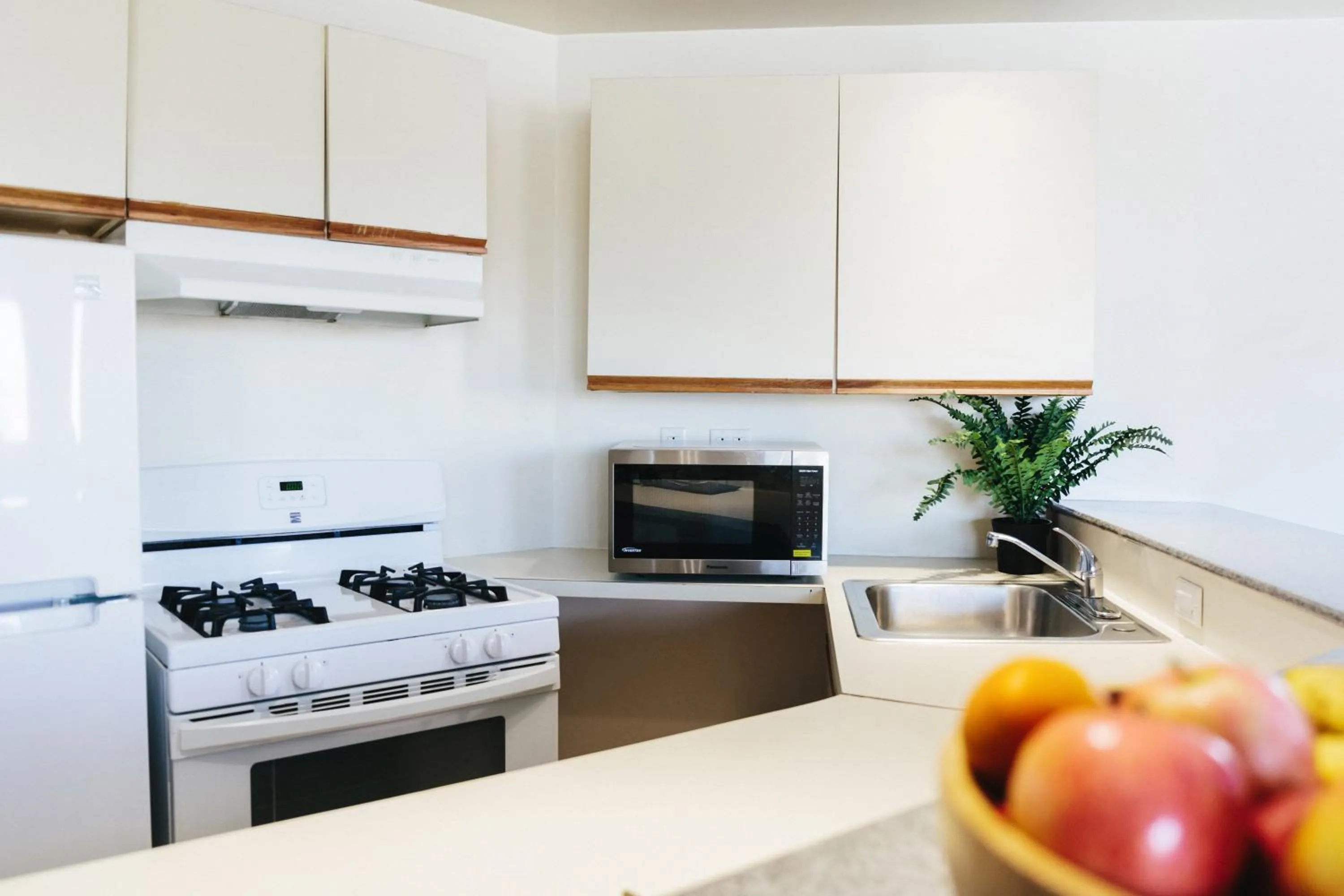 Kitchen or kitchenette in Stamford Suites