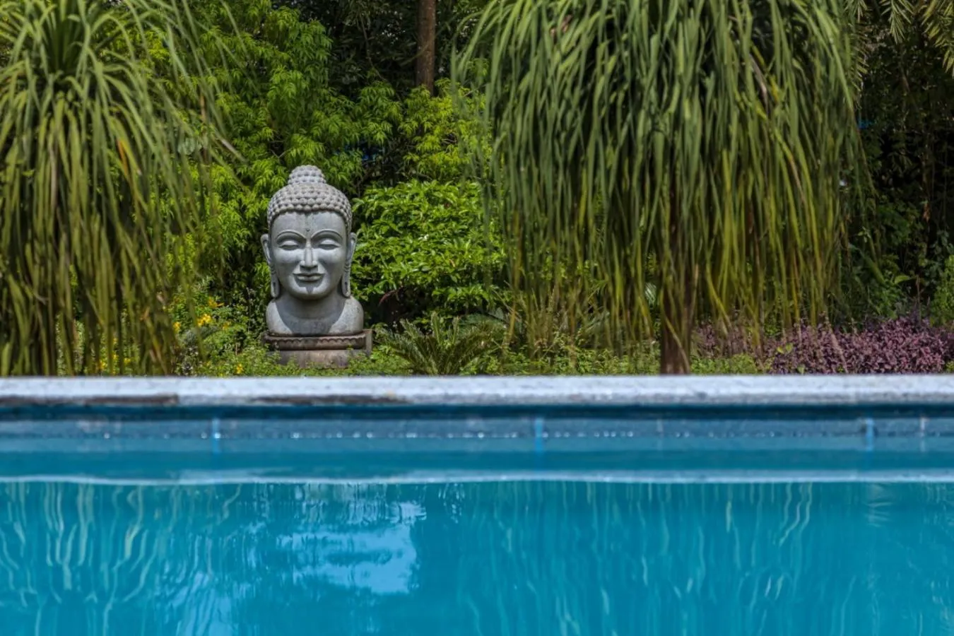 Day in SaffronStays Aura - 4BR luxury pool villa with gym, BBQ deck, lawns & indoor games near Kihim Beach