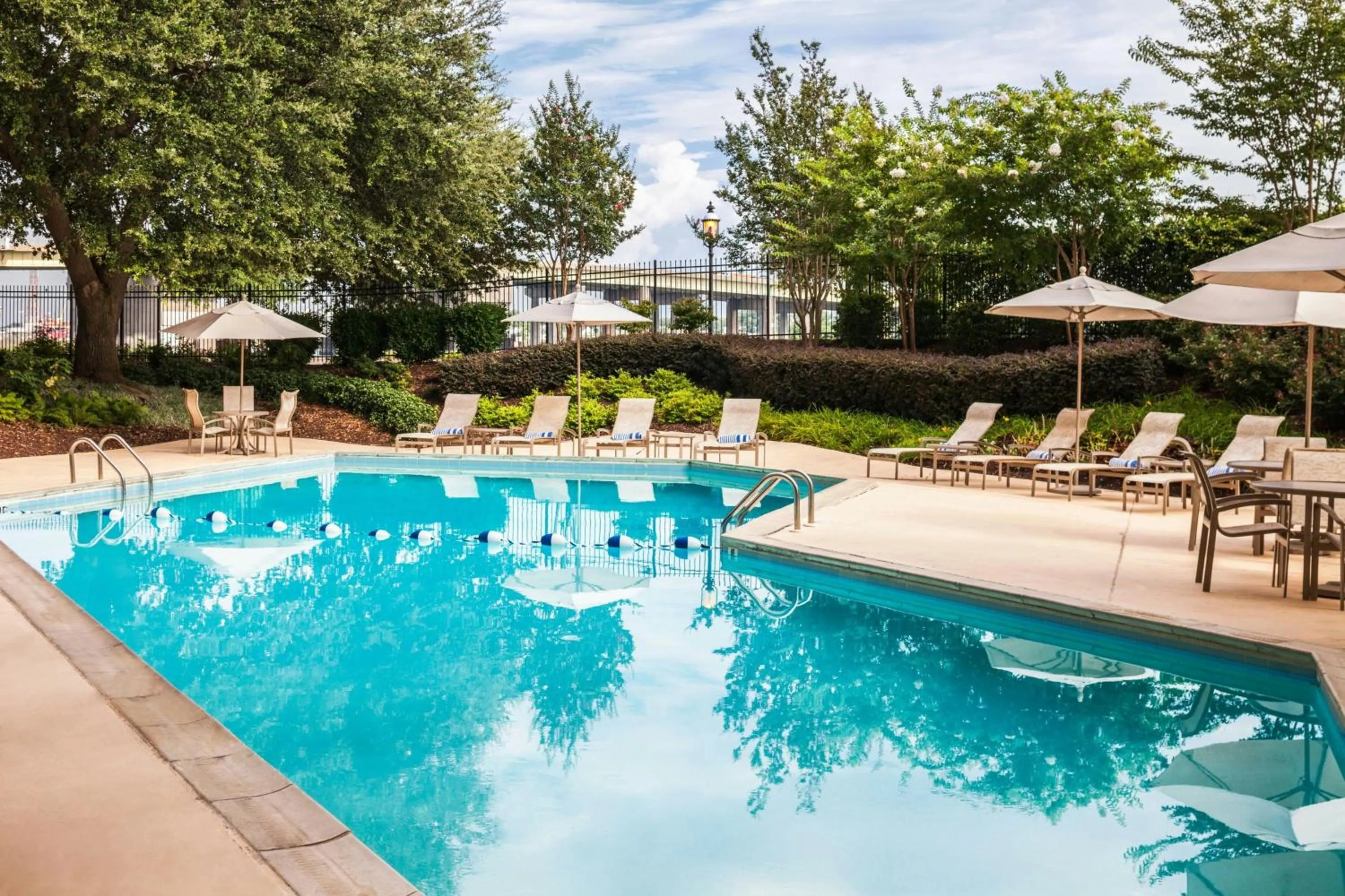 Swimming pool in Sheraton Norfolk Waterside Hotel