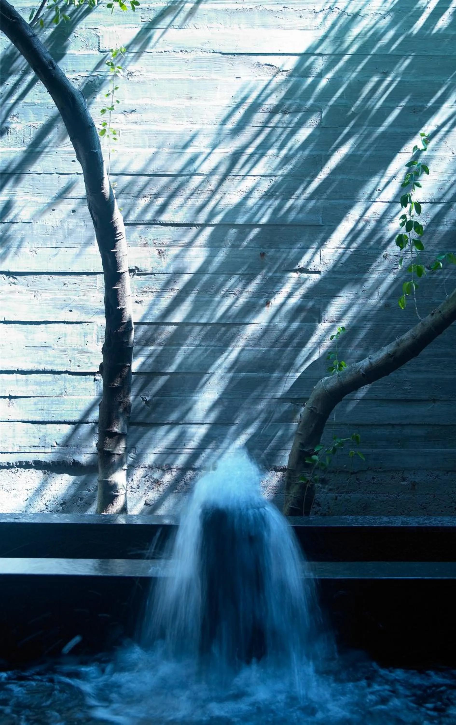 Other in Onsen Papawaqa