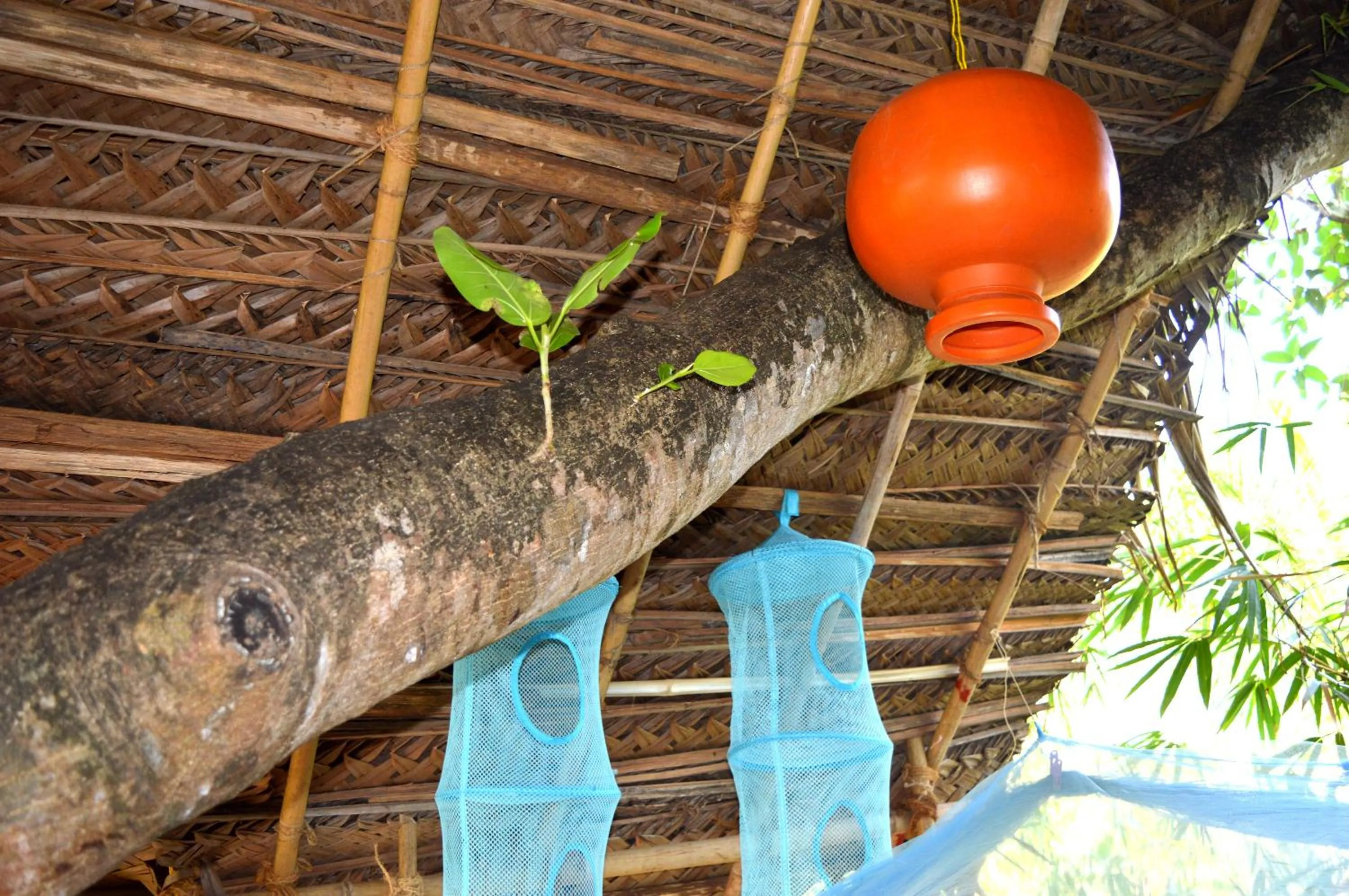 Decorative detail in Namaste Yoga Farm
