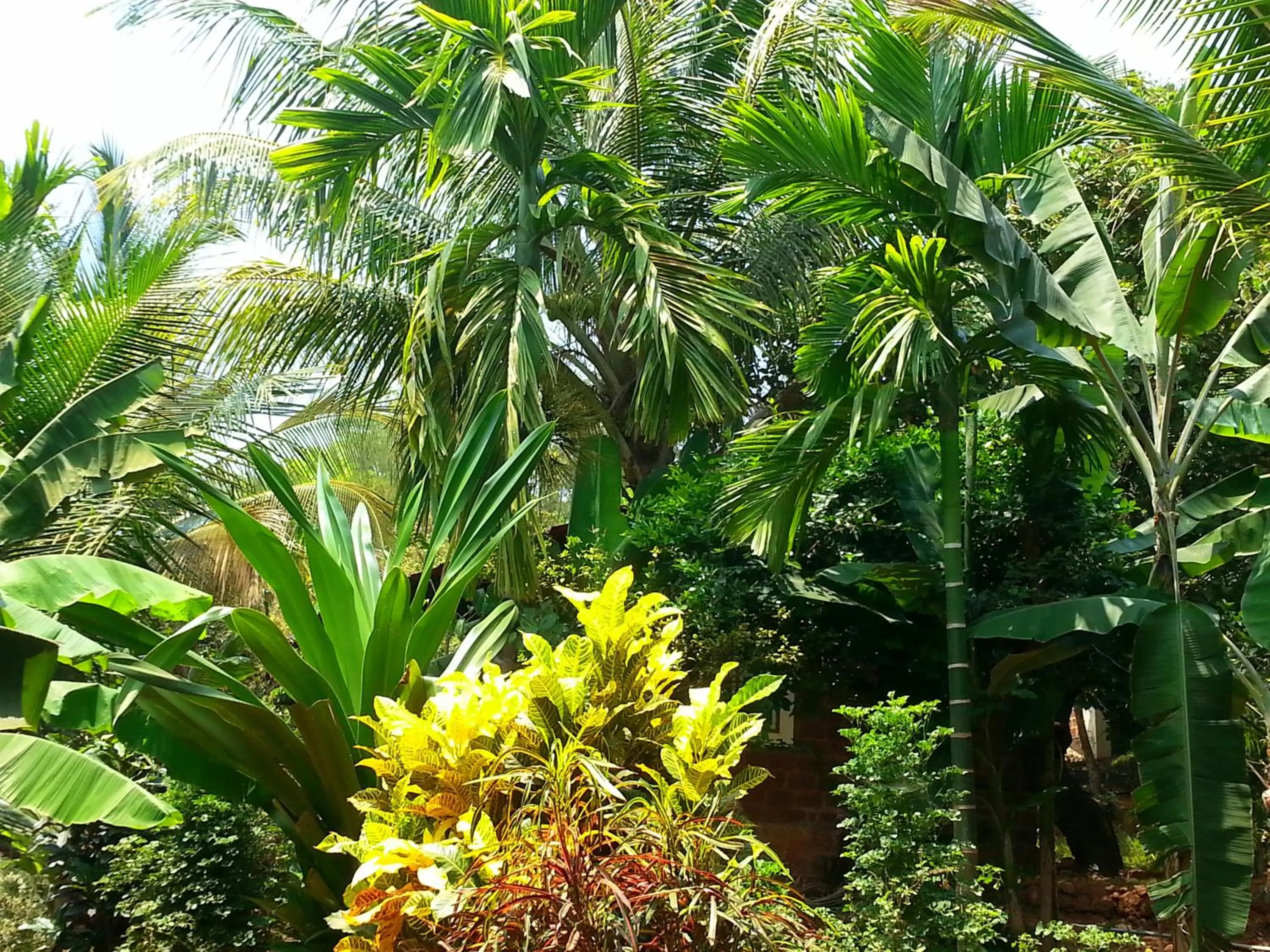 Garden in Namaste Yoga Farm