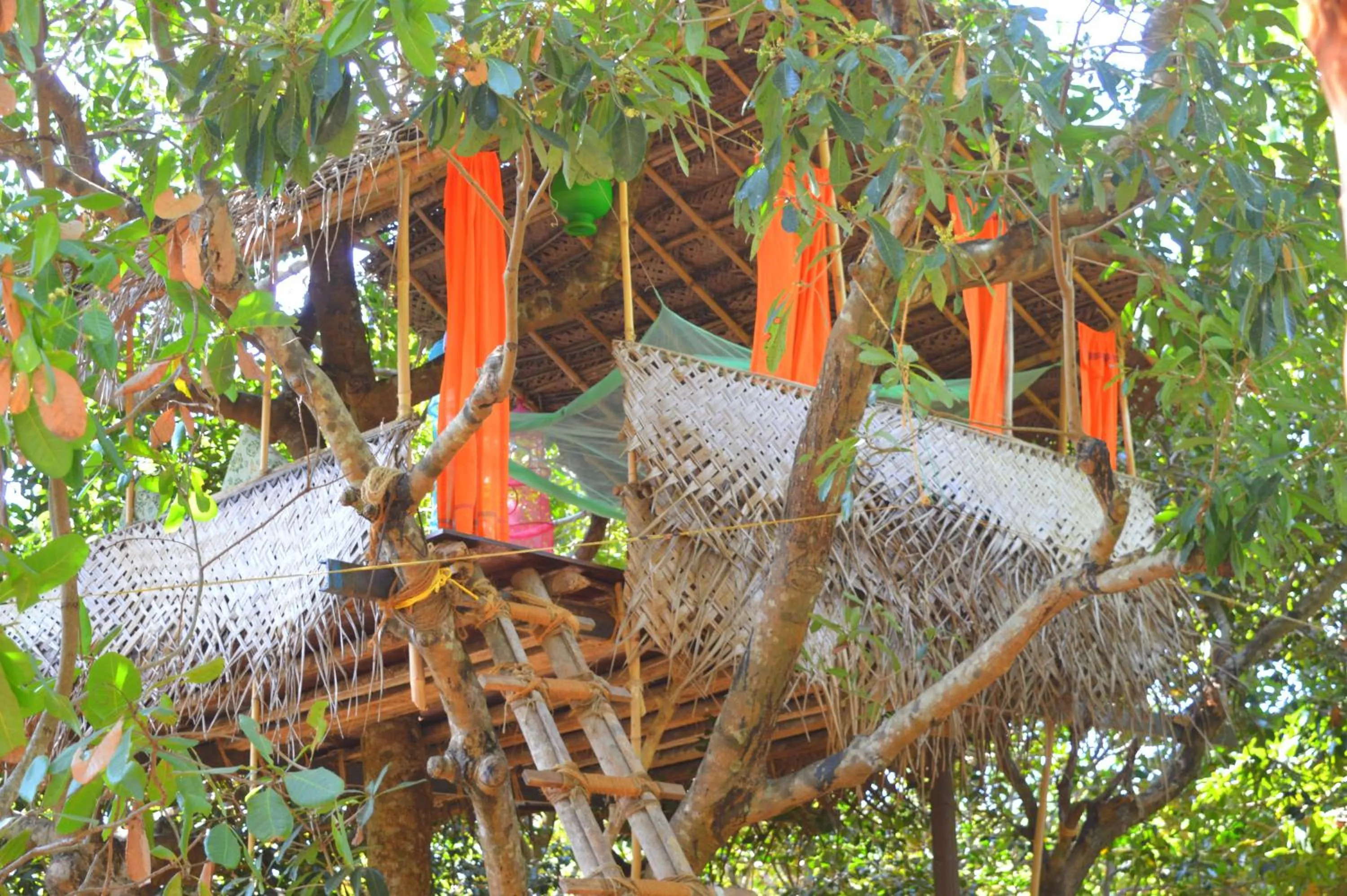 Photo of the whole room in Namaste Yoga Farm