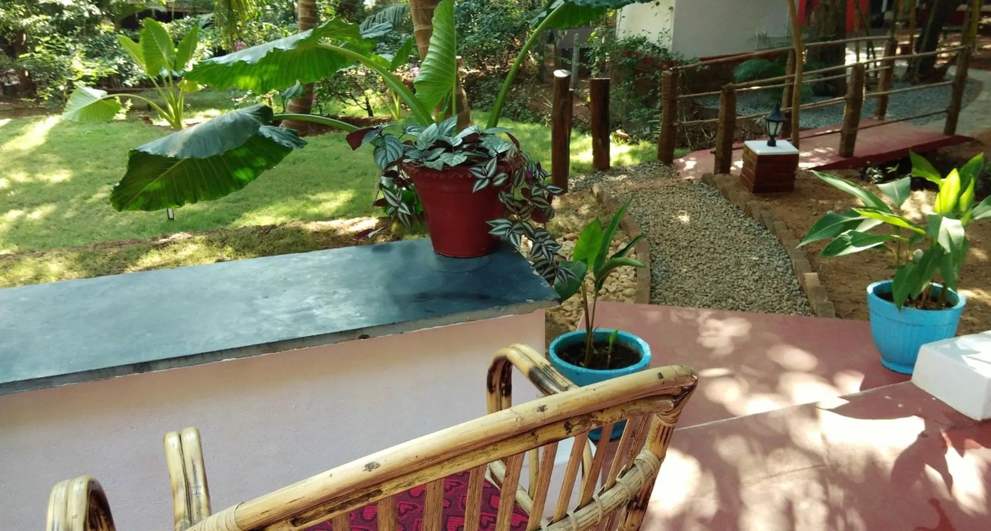 Food and drinks in Namaste Yoga Farm