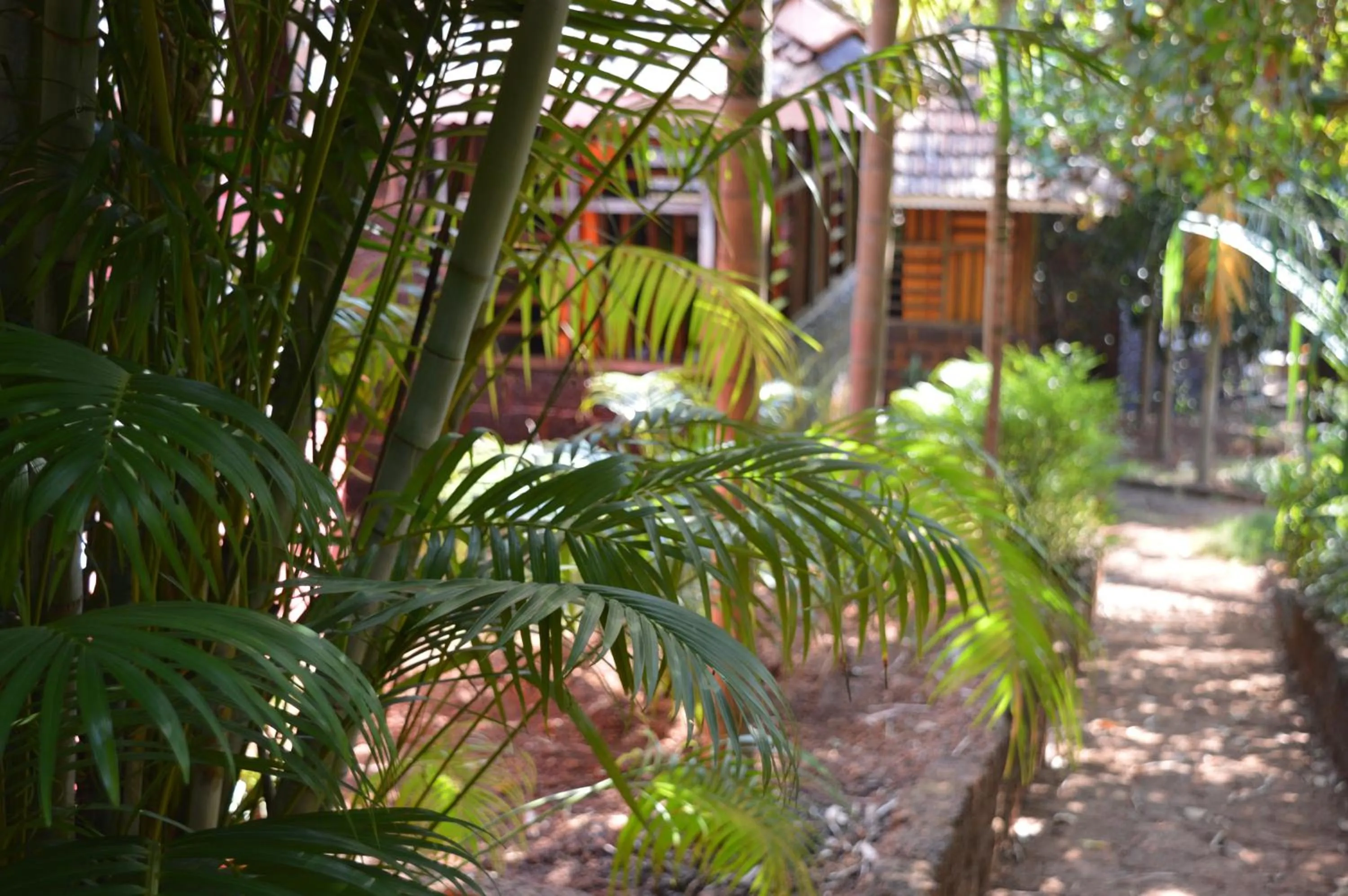 Garden in Namaste Yoga Farm