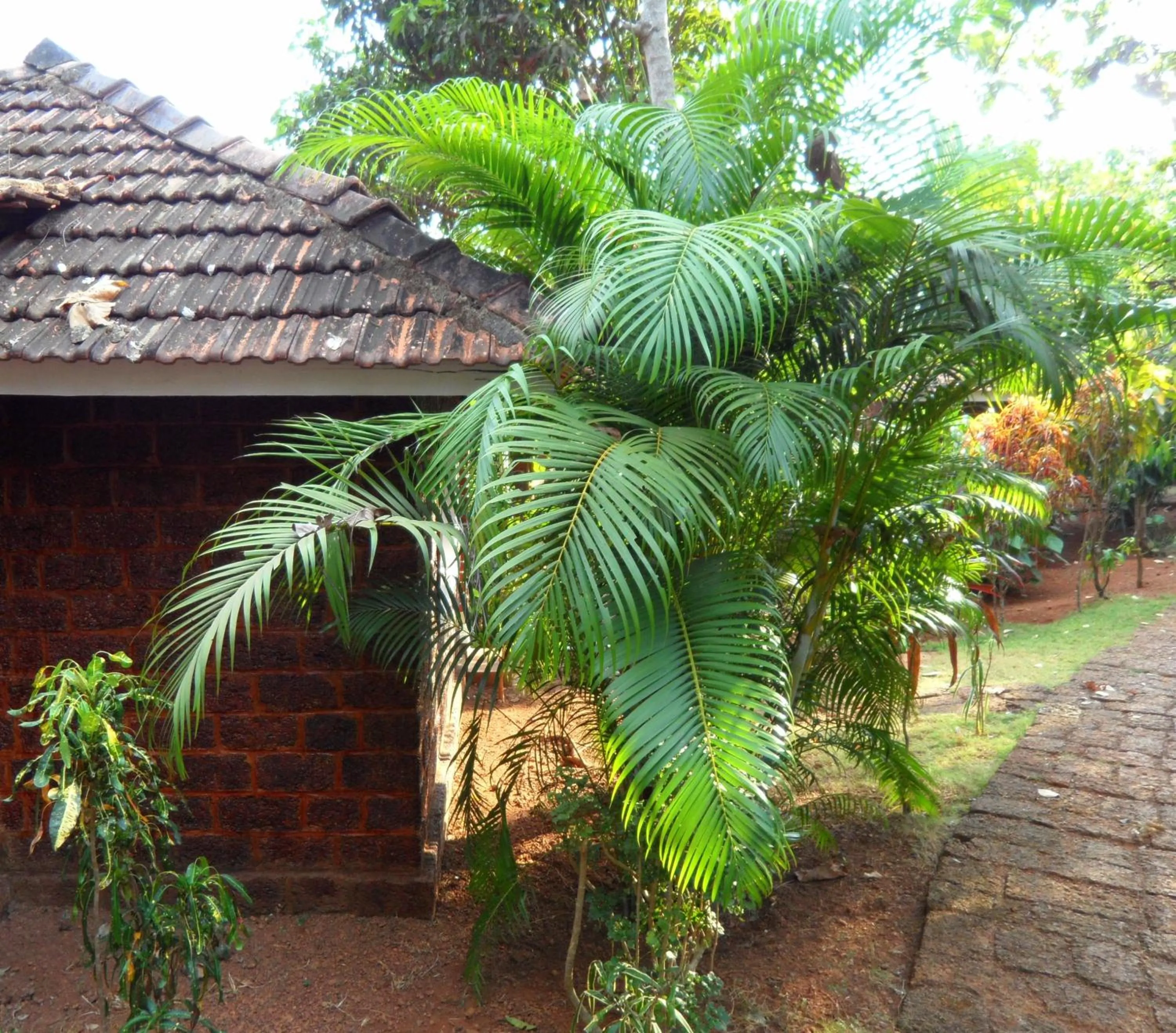 Facade/entrance in Namaste Yoga Farm