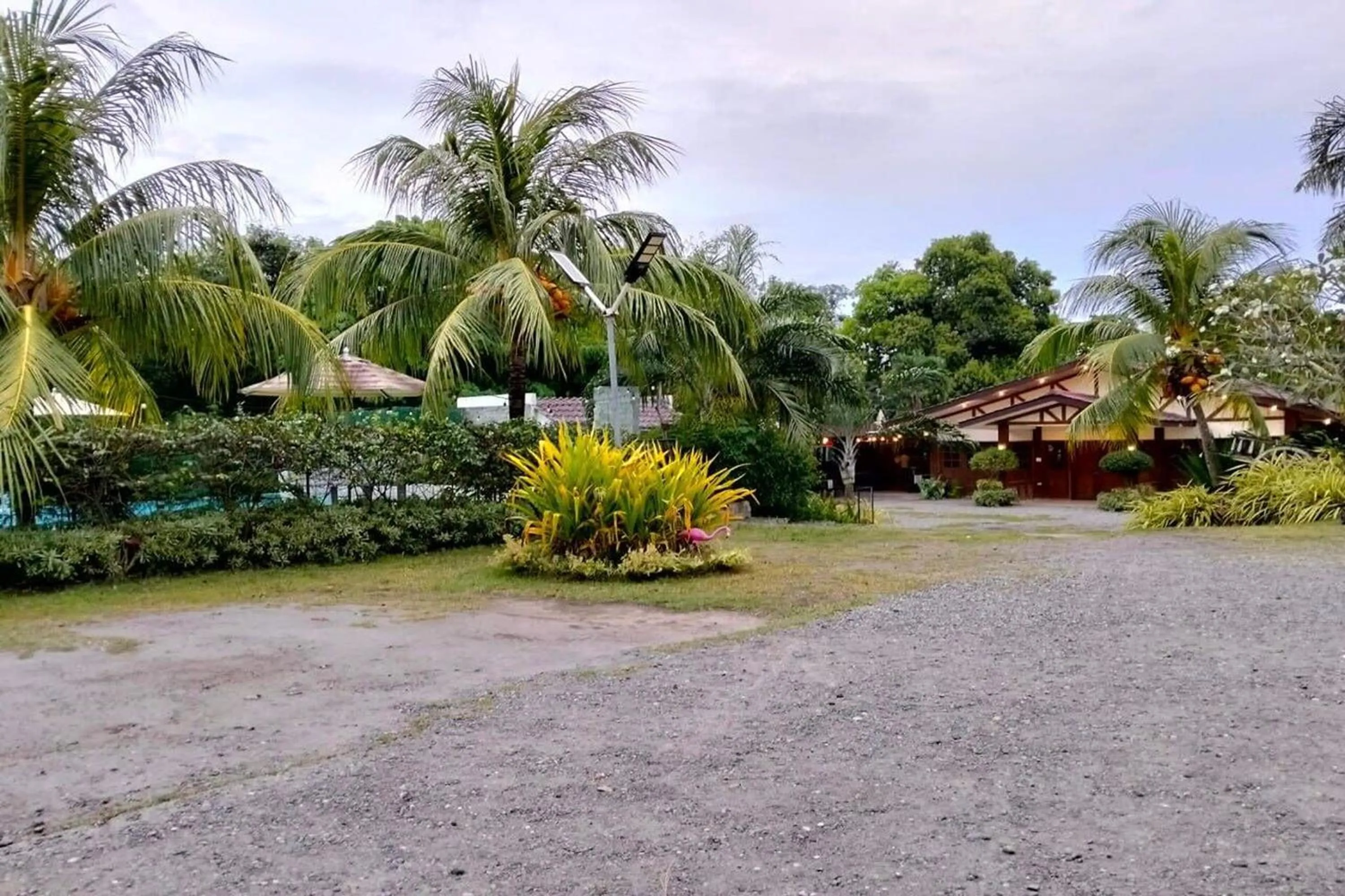 Garden view in Hotel P INC
