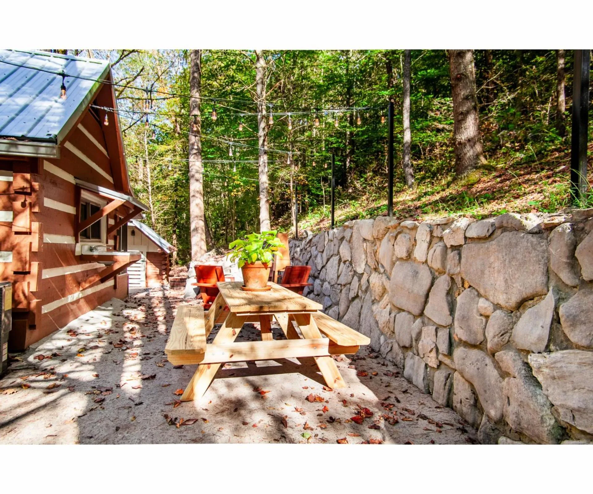 Patio in Beary Relaxing Cabin - Rustic with Outdoor Patio