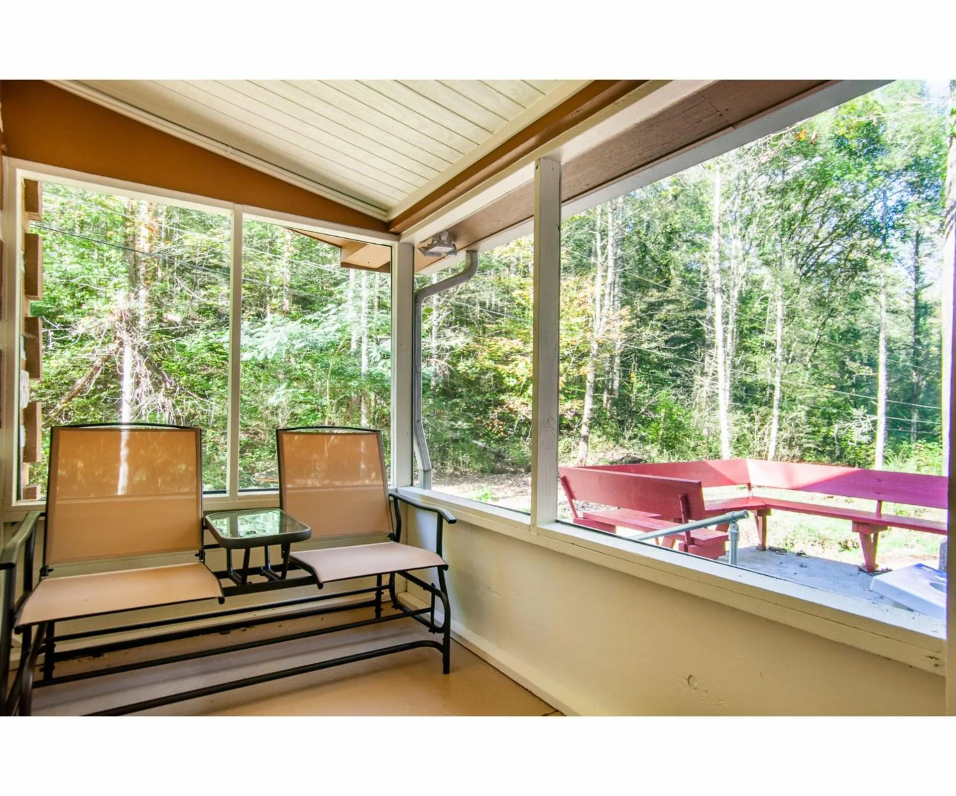 Other in Beary Relaxing Cabin - Rustic with Outdoor Patio