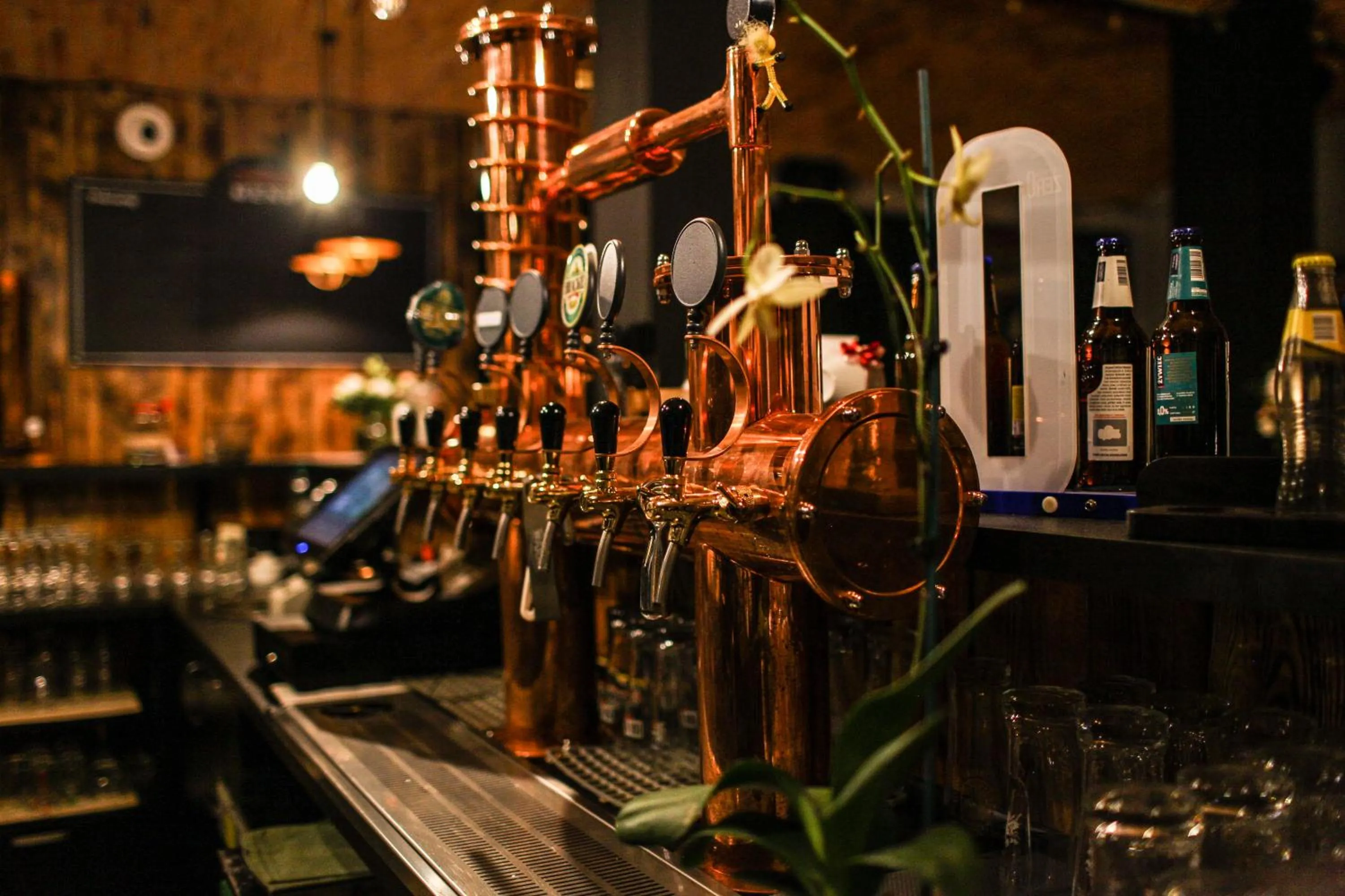 Restaurant/places to eat in Pokoje Gościnne u Klimosza