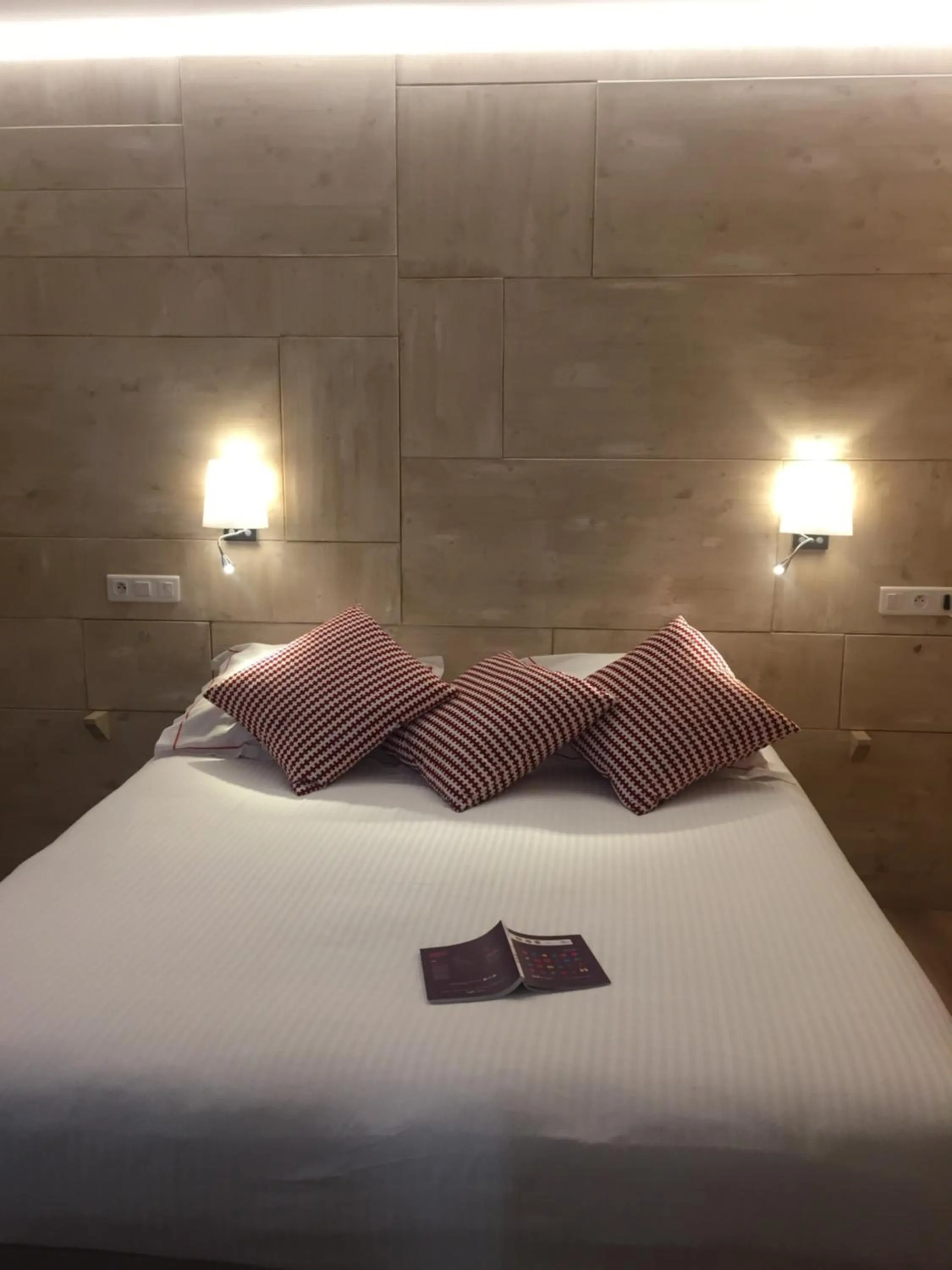 Photo of the whole room, Bed in The Originals Boutique, Hôtel Alizé, Évian-les-Bains