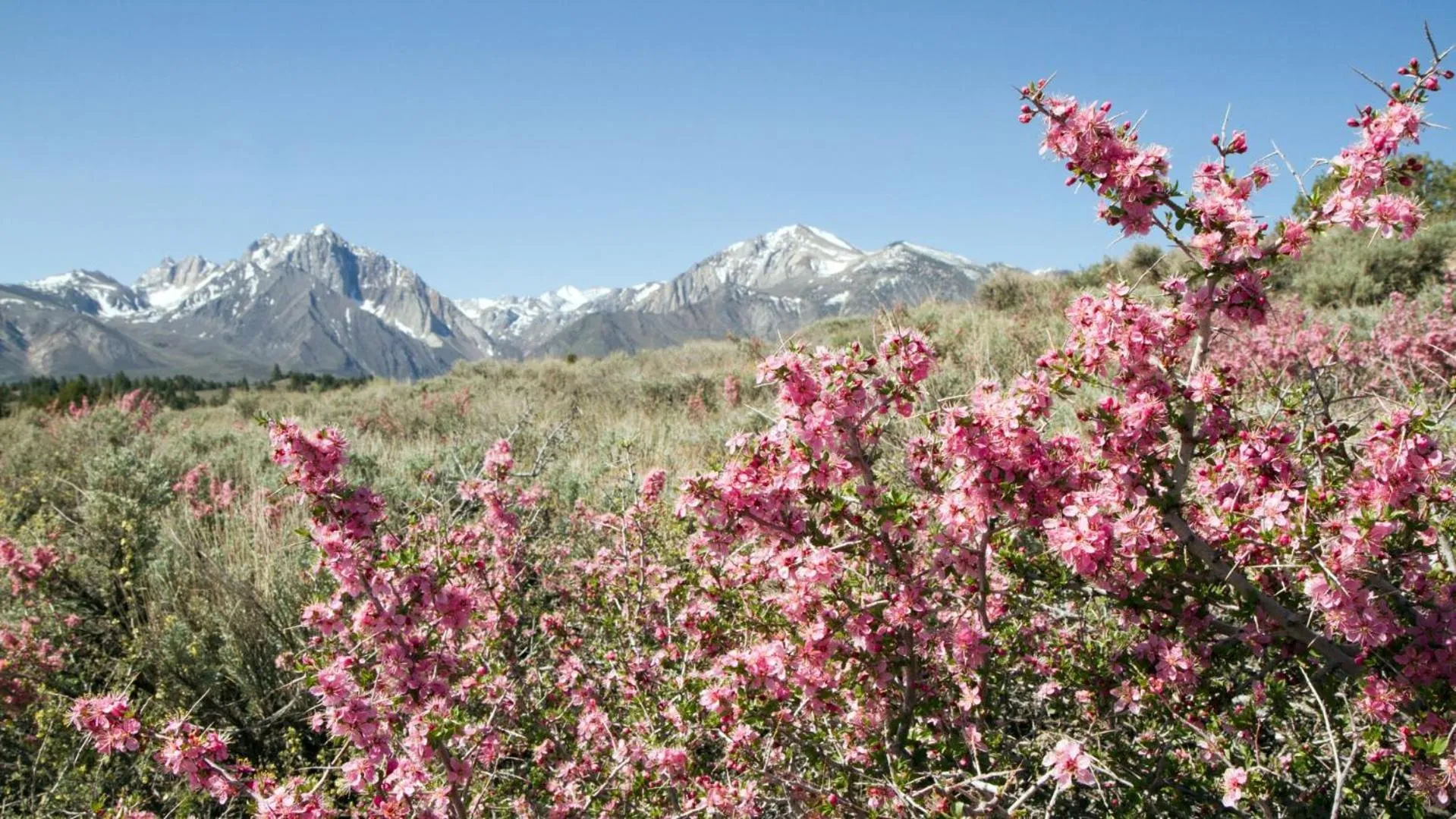 Nearby landmark in Hotel Hermitage