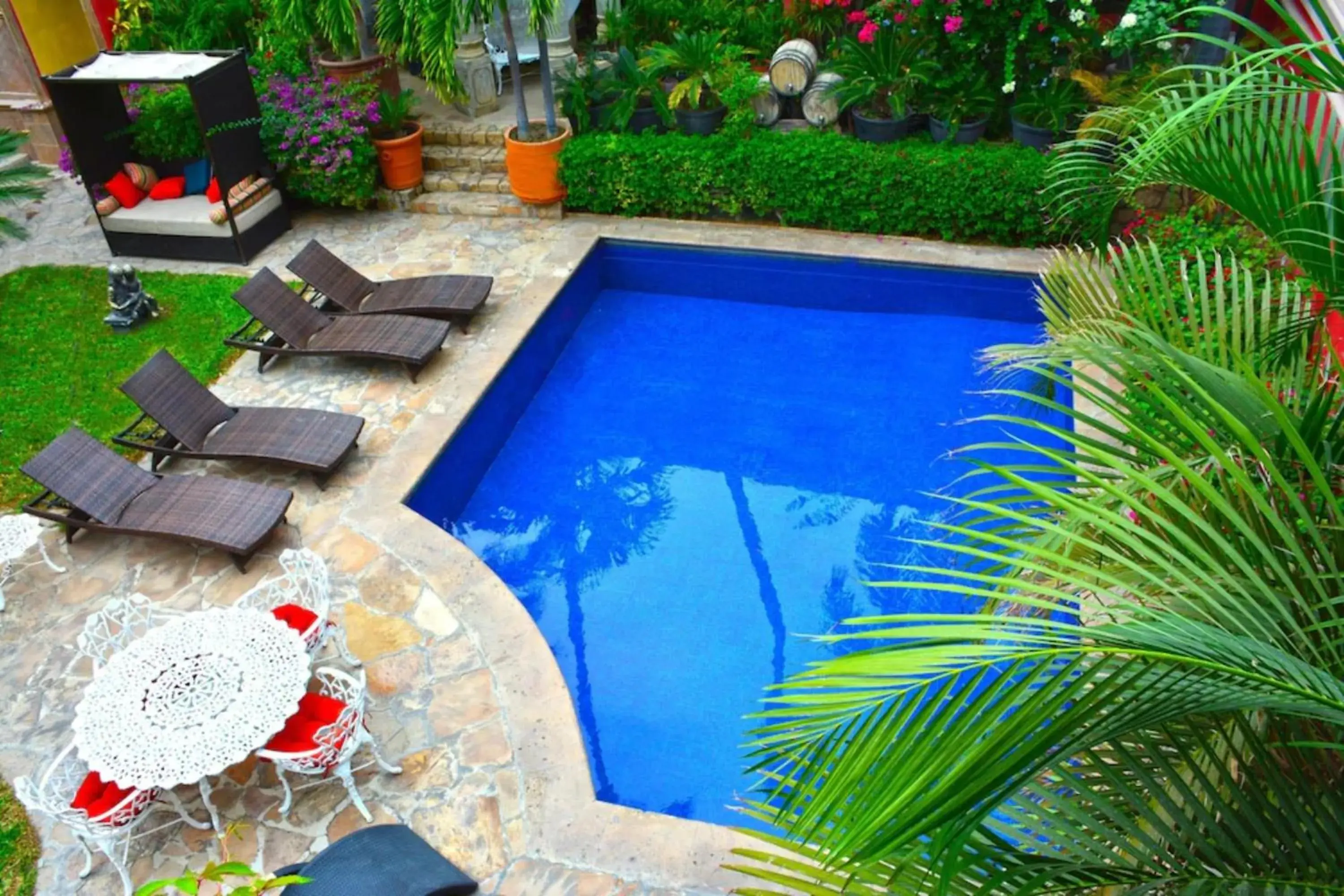 Garden in Collection O Casa Bella Hotel Boutique, Cabo San Lucas Garden in Collection O Casa Bella Hotel Boutique, Cabo San Lucas