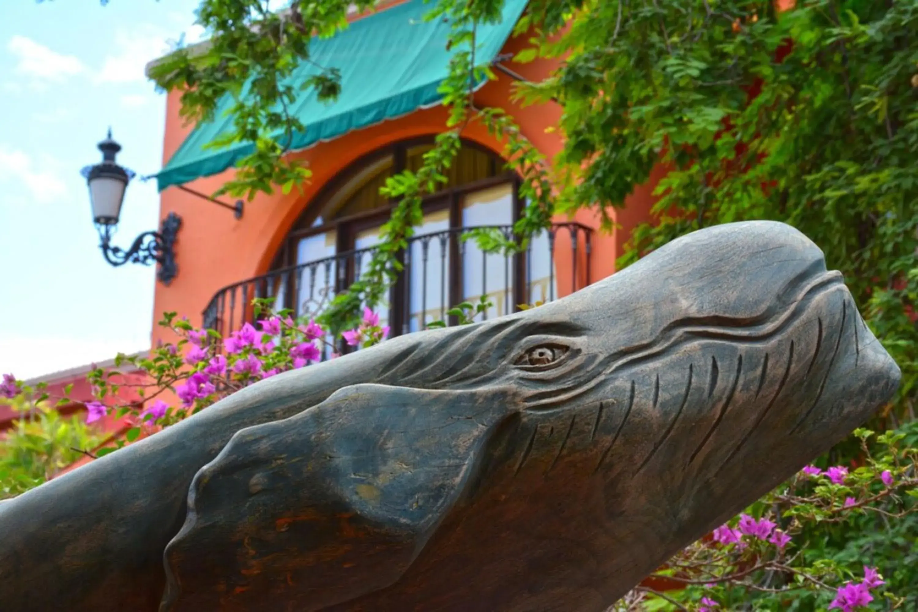 Garden in Collection O Casa Bella Hotel Boutique, Cabo San Lucas Garden in Collection O Casa Bella Hotel Boutique, Cabo San Lucas