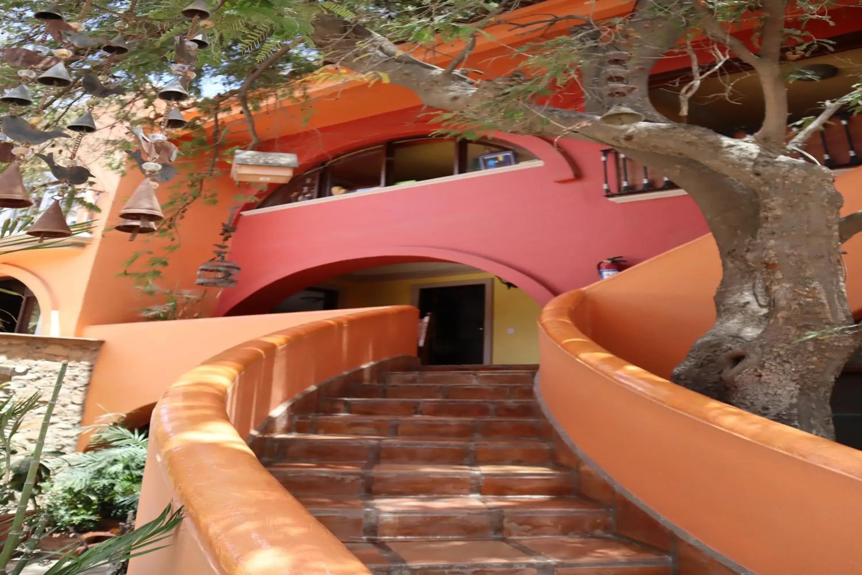 Facade/entrance in Collection O Casa Bella Hotel Boutique, Cabo San Lucas Facade/entrance in Collection O Casa Bella Hotel Boutique, Cabo San Lucas