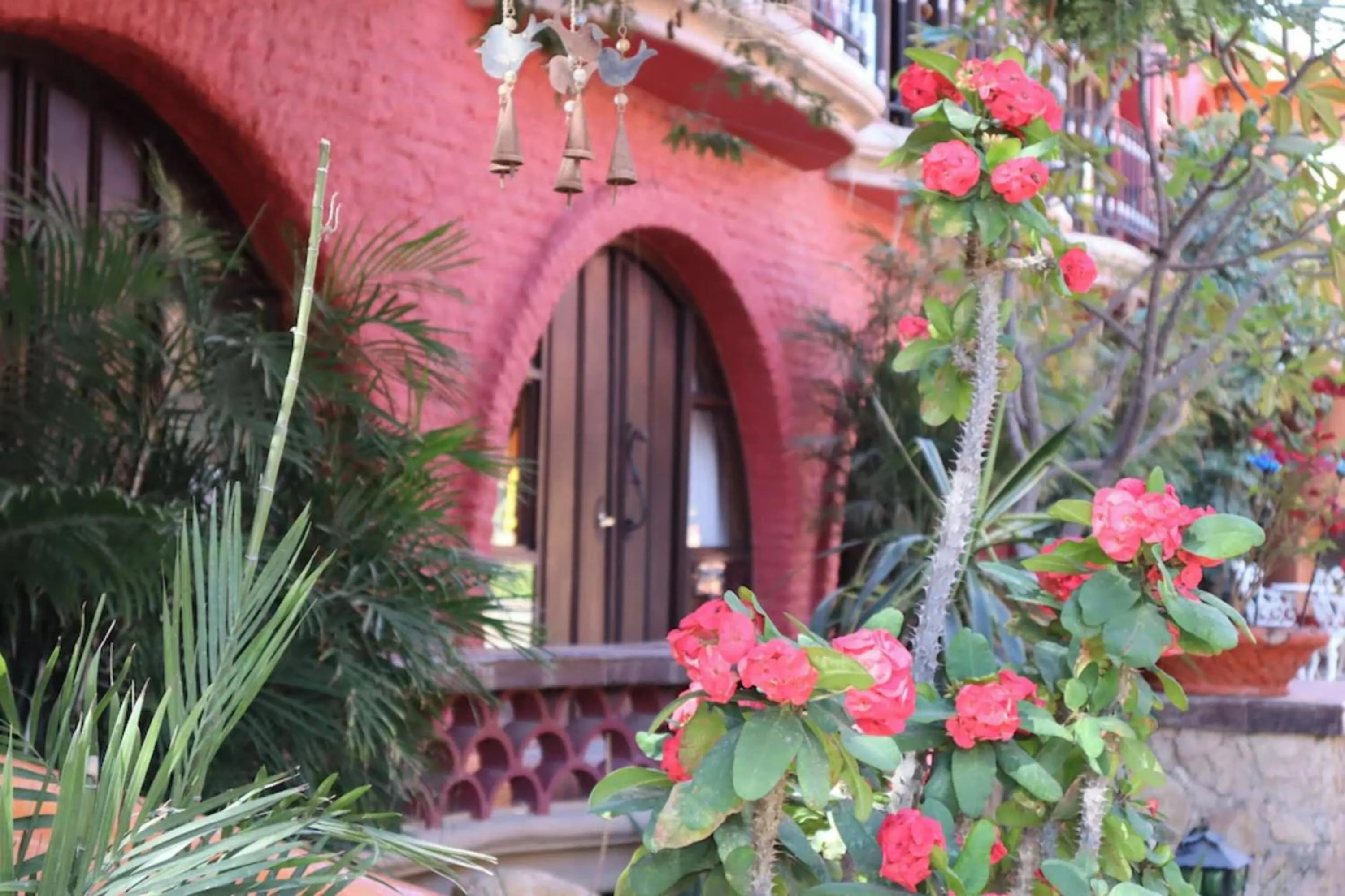 Garden in Collection O Casa Bella Hotel Boutique, Cabo San Lucas