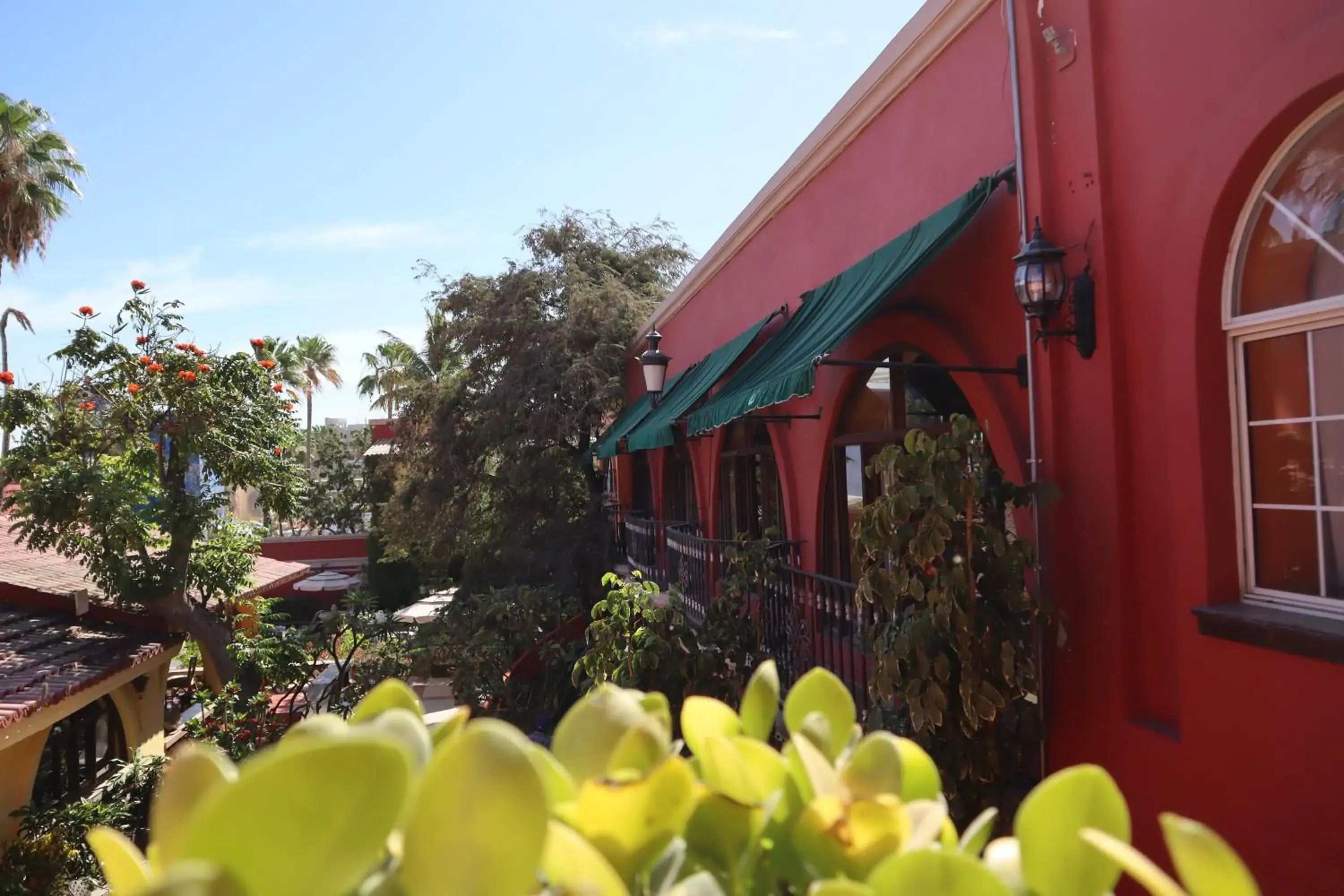 Property building in Collection O Casa Bella Hotel Boutique, Cabo San Lucas Property building in Collection O Casa Bella Hotel Boutique, Cabo San Lucas