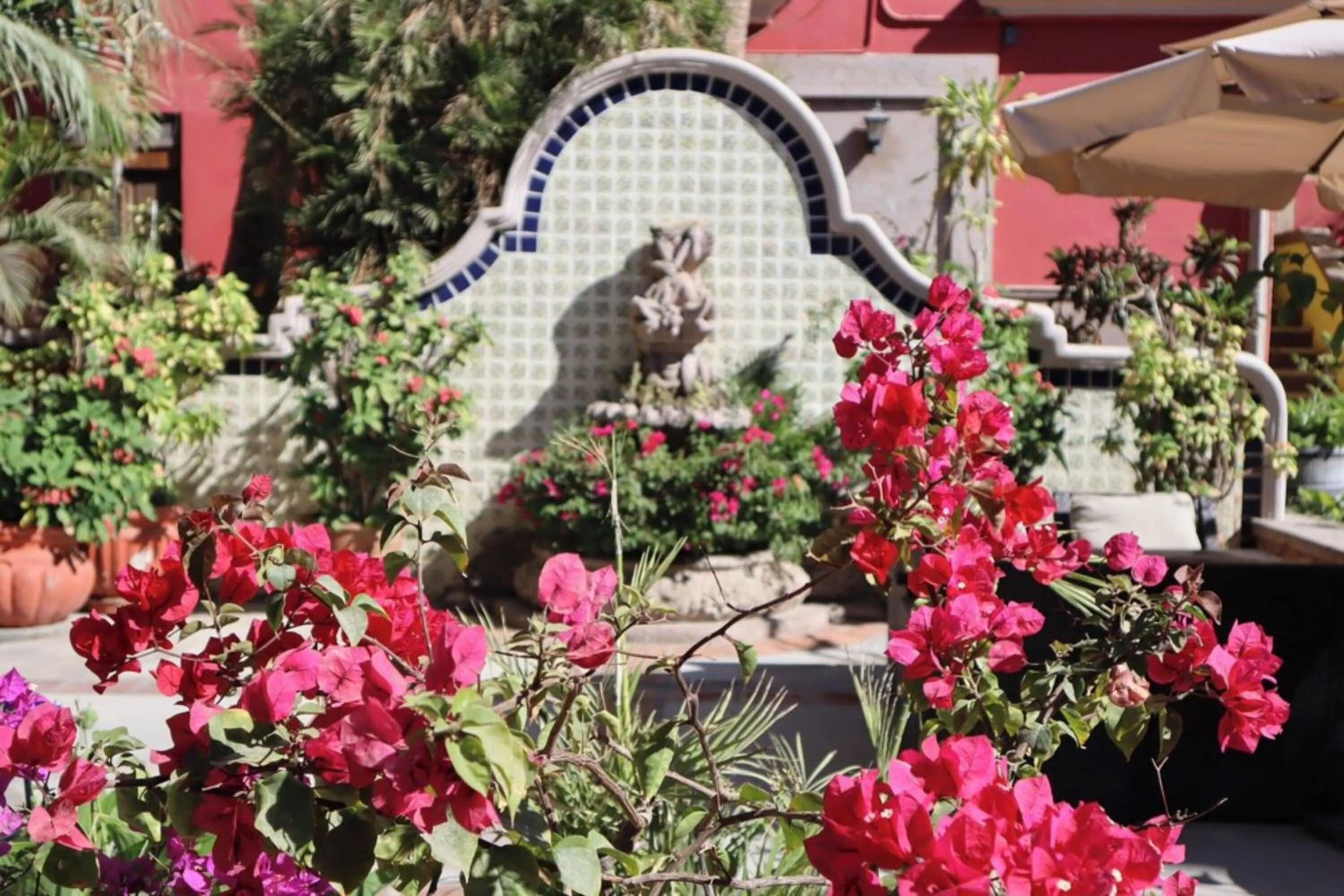Garden in Collection O Casa Bella Hotel Boutique, Cabo San Lucas