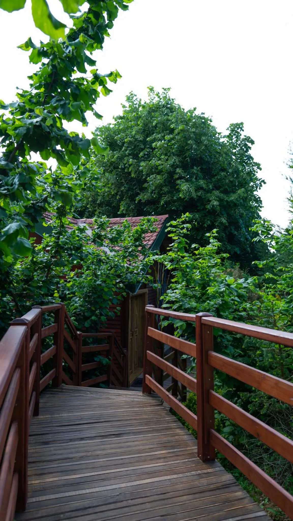 The Canyon Kartepe and Restoran