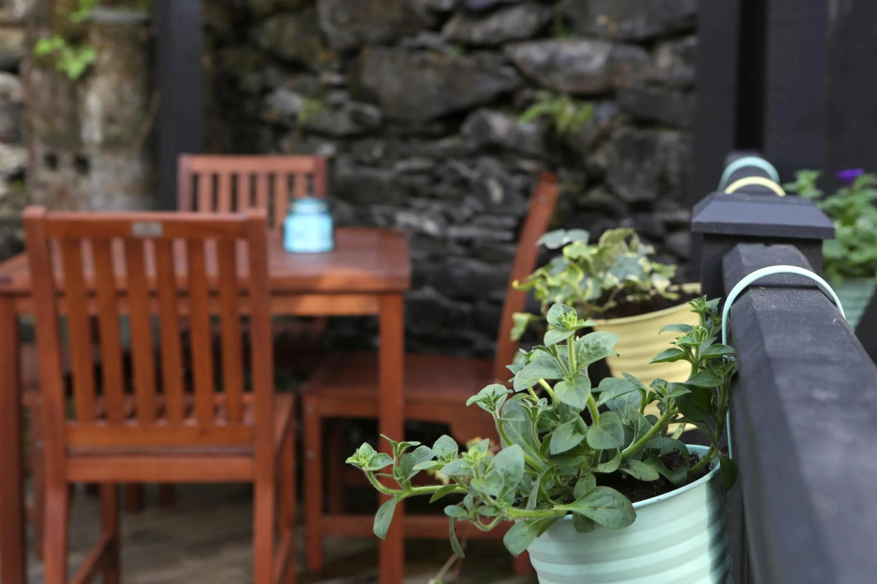 Garden in Pont Y Pair Inn