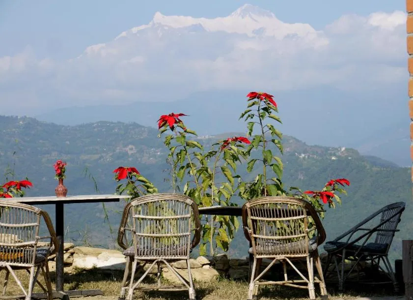 Day in Peace Dragon Lodge