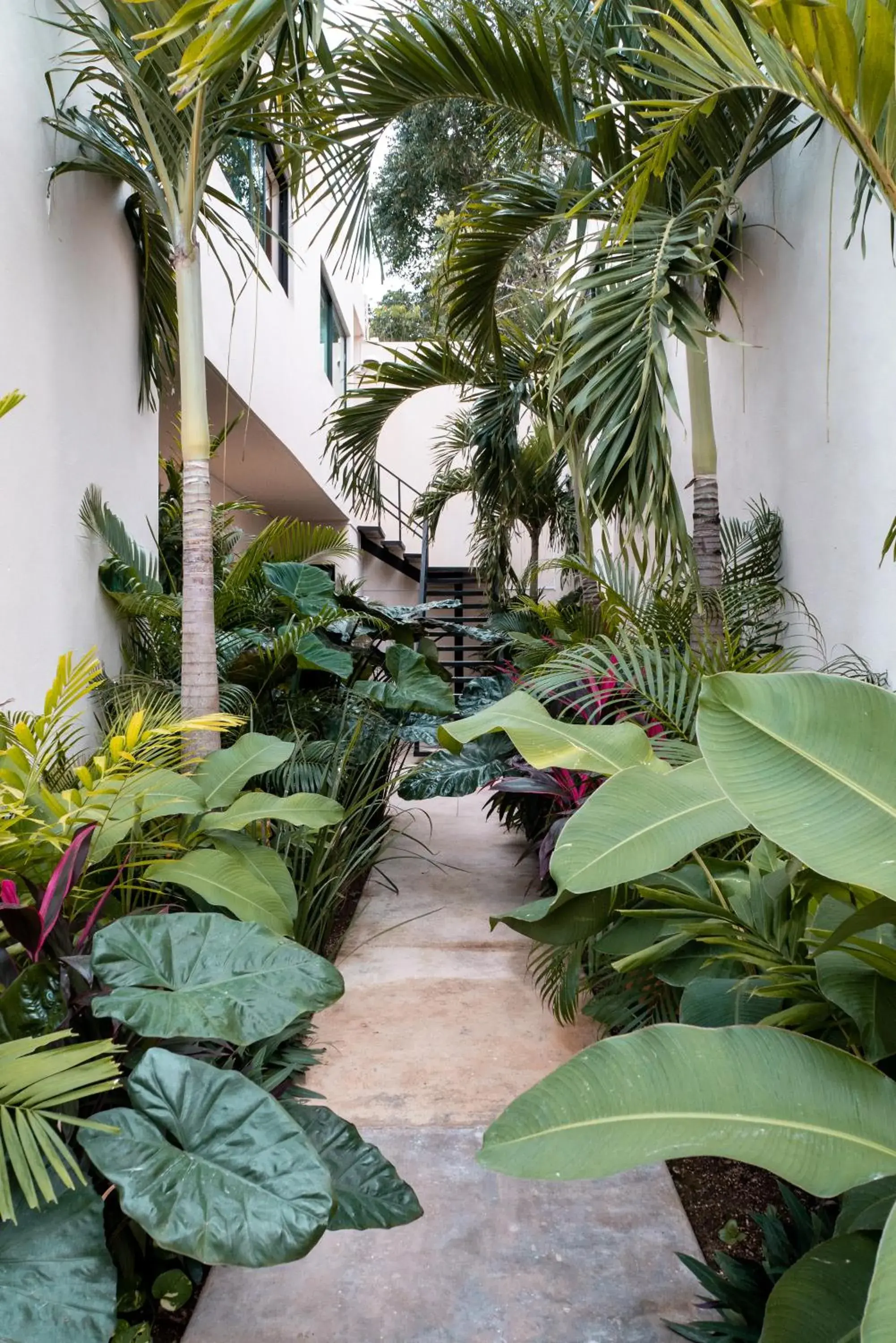 Mayanah Bacalar Mayanah Bacalar