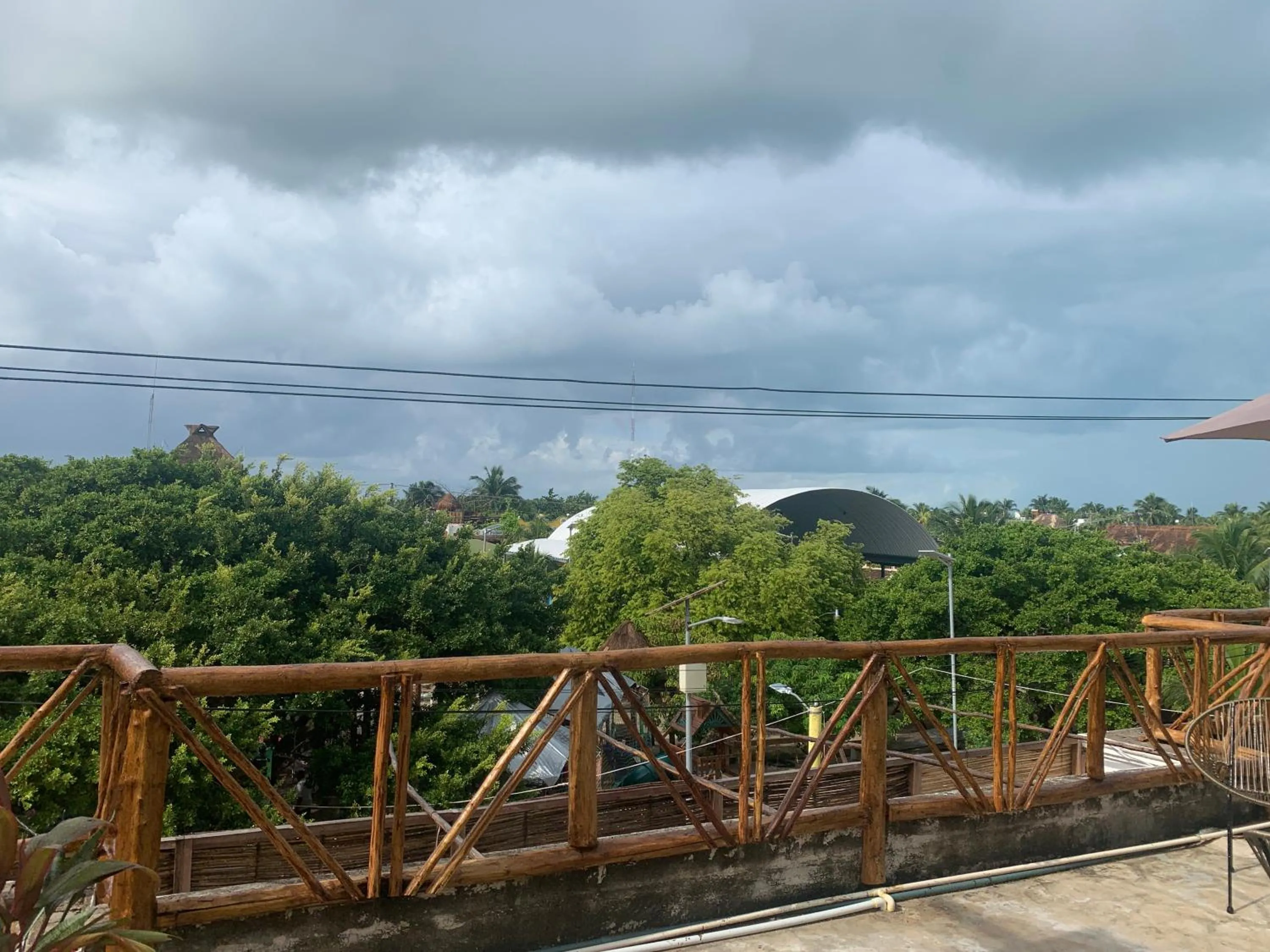 View (from property/room) in Black flamingo
