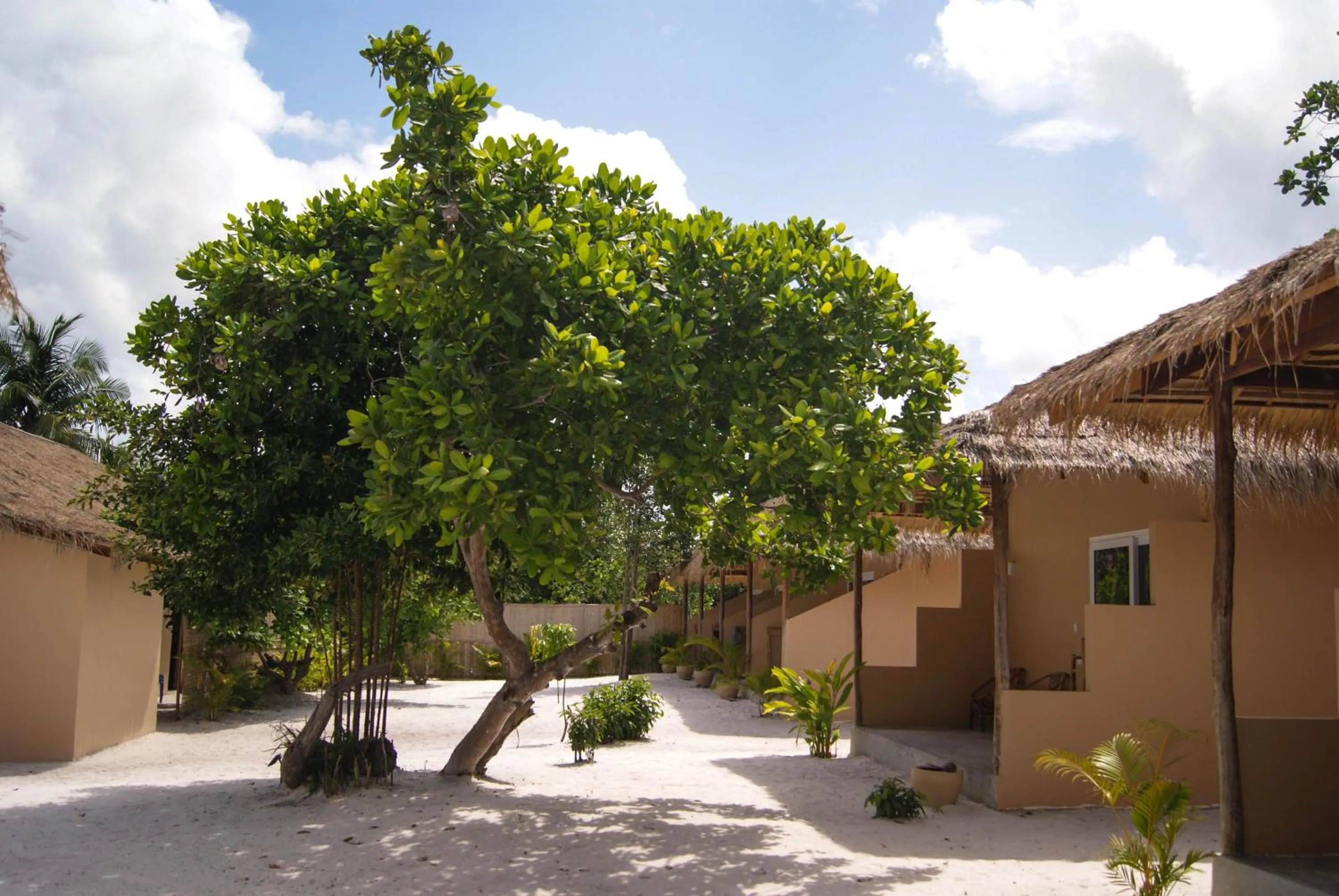 Garden in BeachWalk Koh Rong