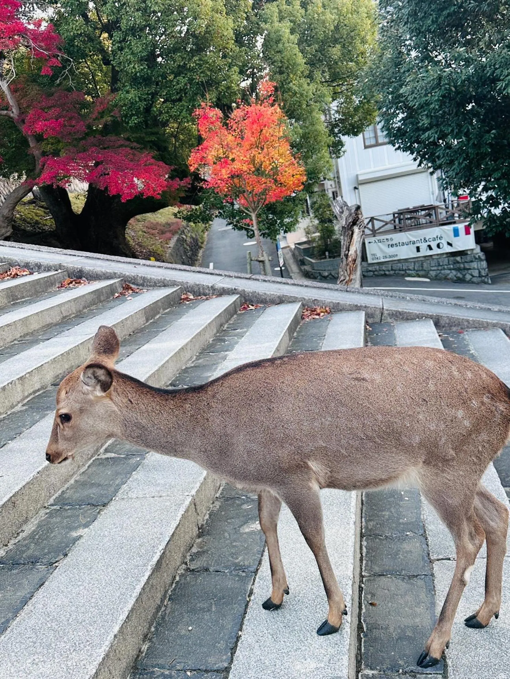 Nearby landmark in Kousen Annex Kazeya Group