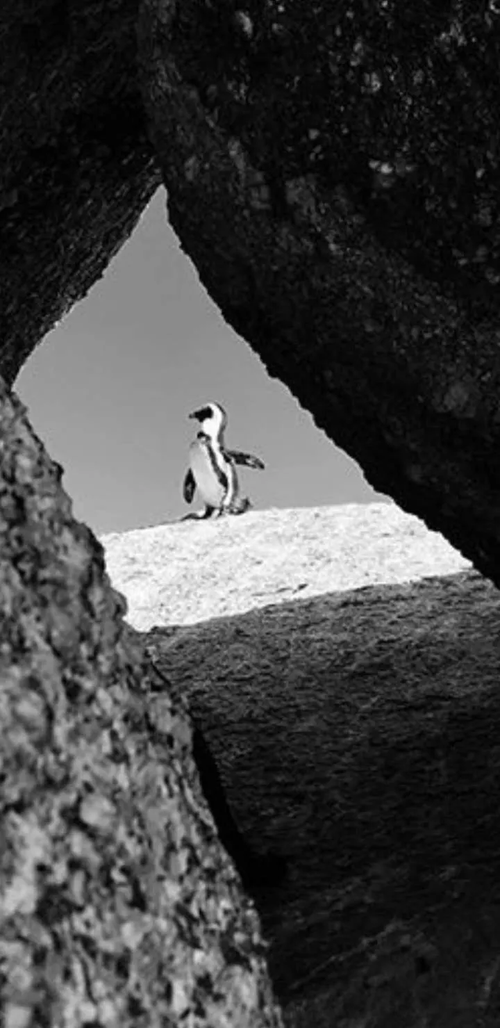 Natural landscape in Sunset beach backpackers