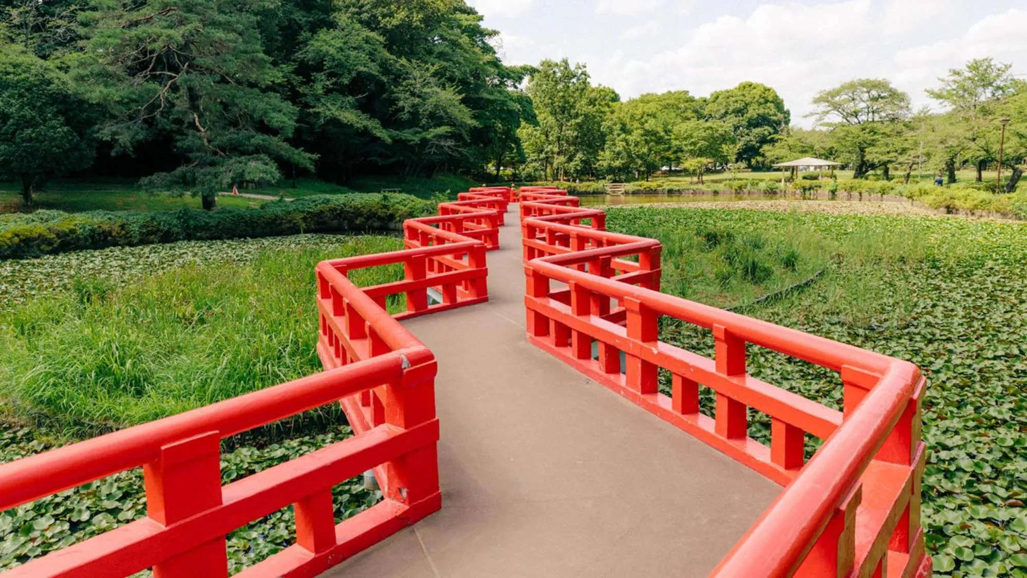 Nearby landmark in Toyoko Inn Saitama Iwatsuki Ekimae