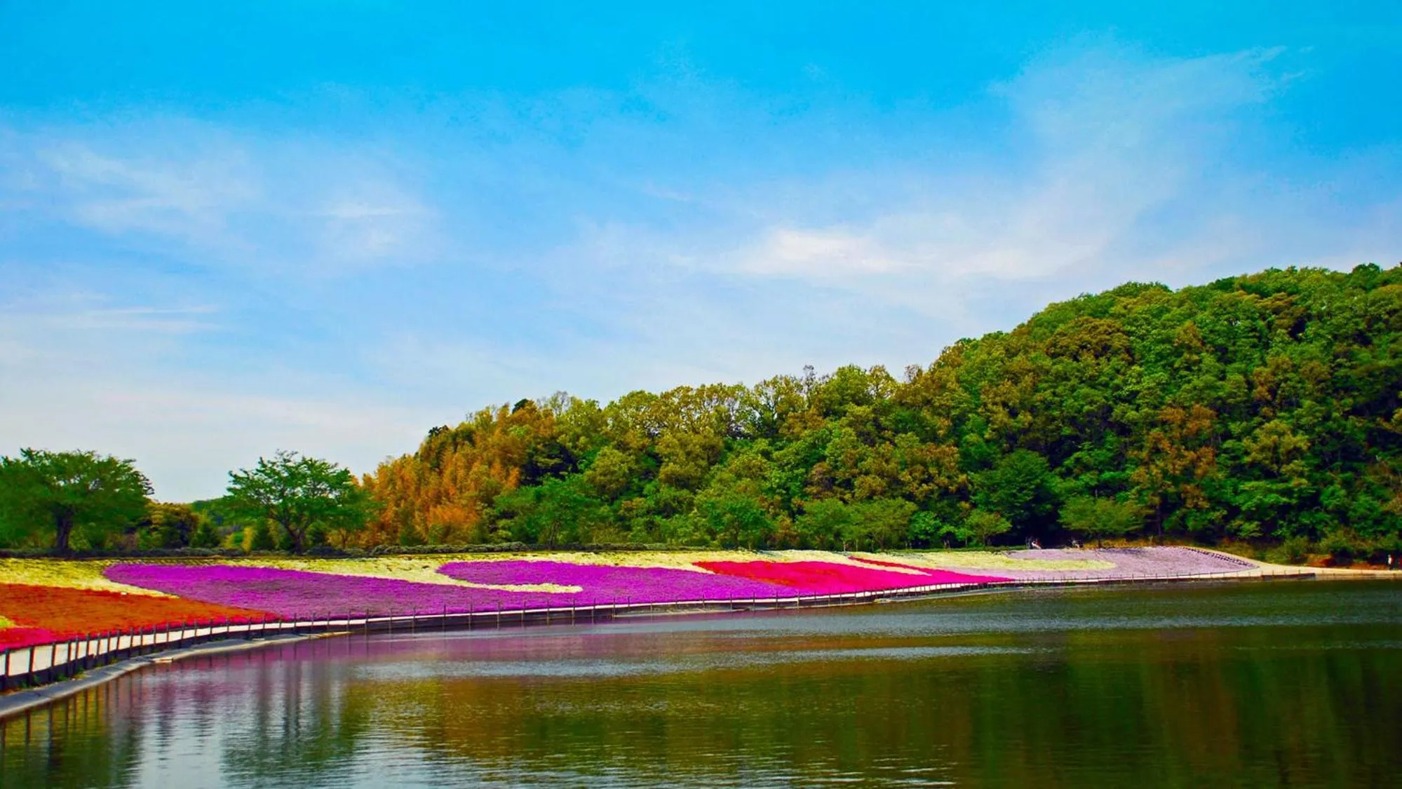 Nearby landmark in Toyoko Inn Sodegaura eki Kita guchi