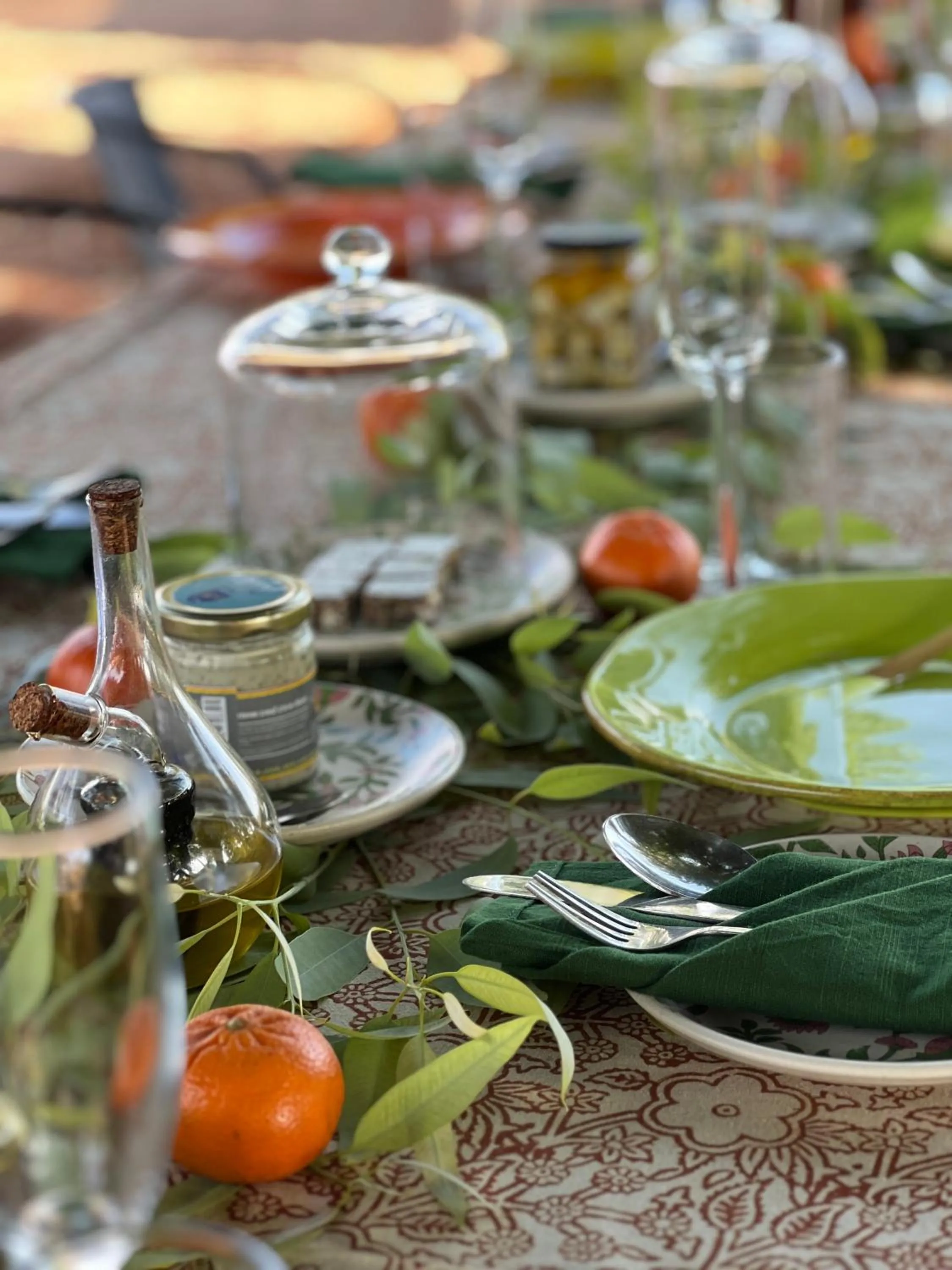 Natural landscape in Kaner Retreat - India's First Desert Botanical Resort