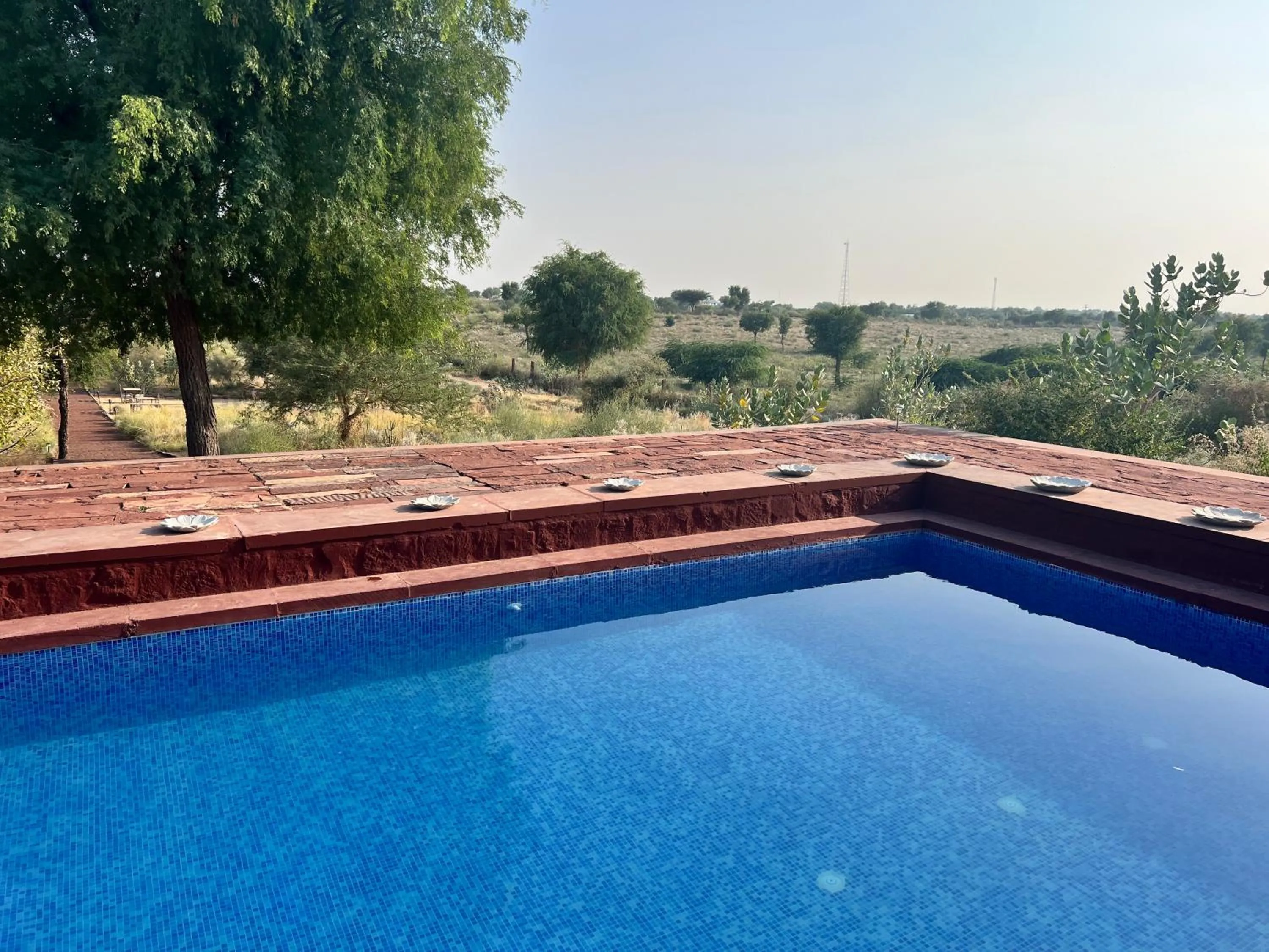 Swimming pool in Kaner Retreat - India's First Desert Botanical Resort