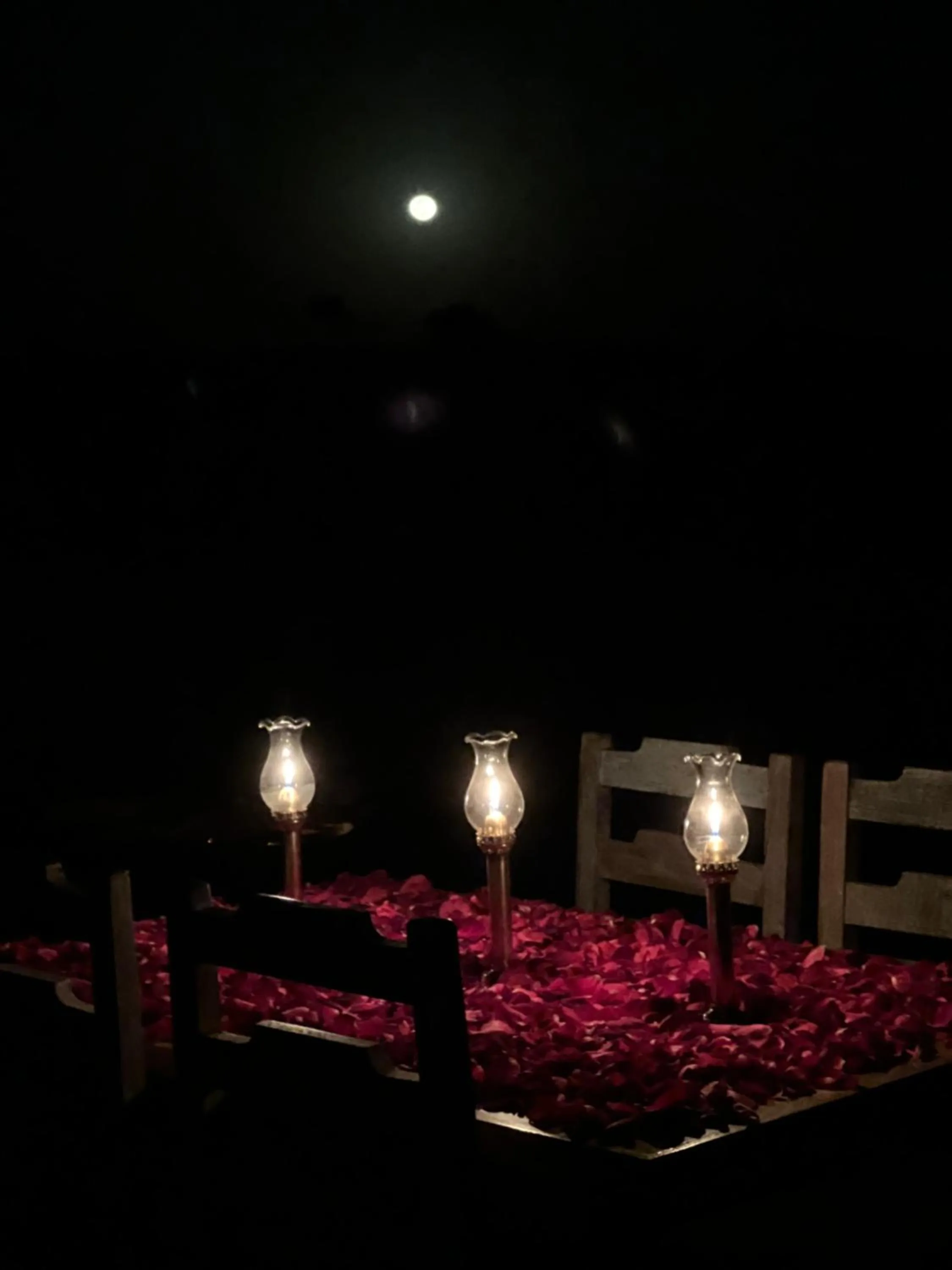 Restaurant/places to eat in Kaner Retreat - India's First Desert Botanical Resort