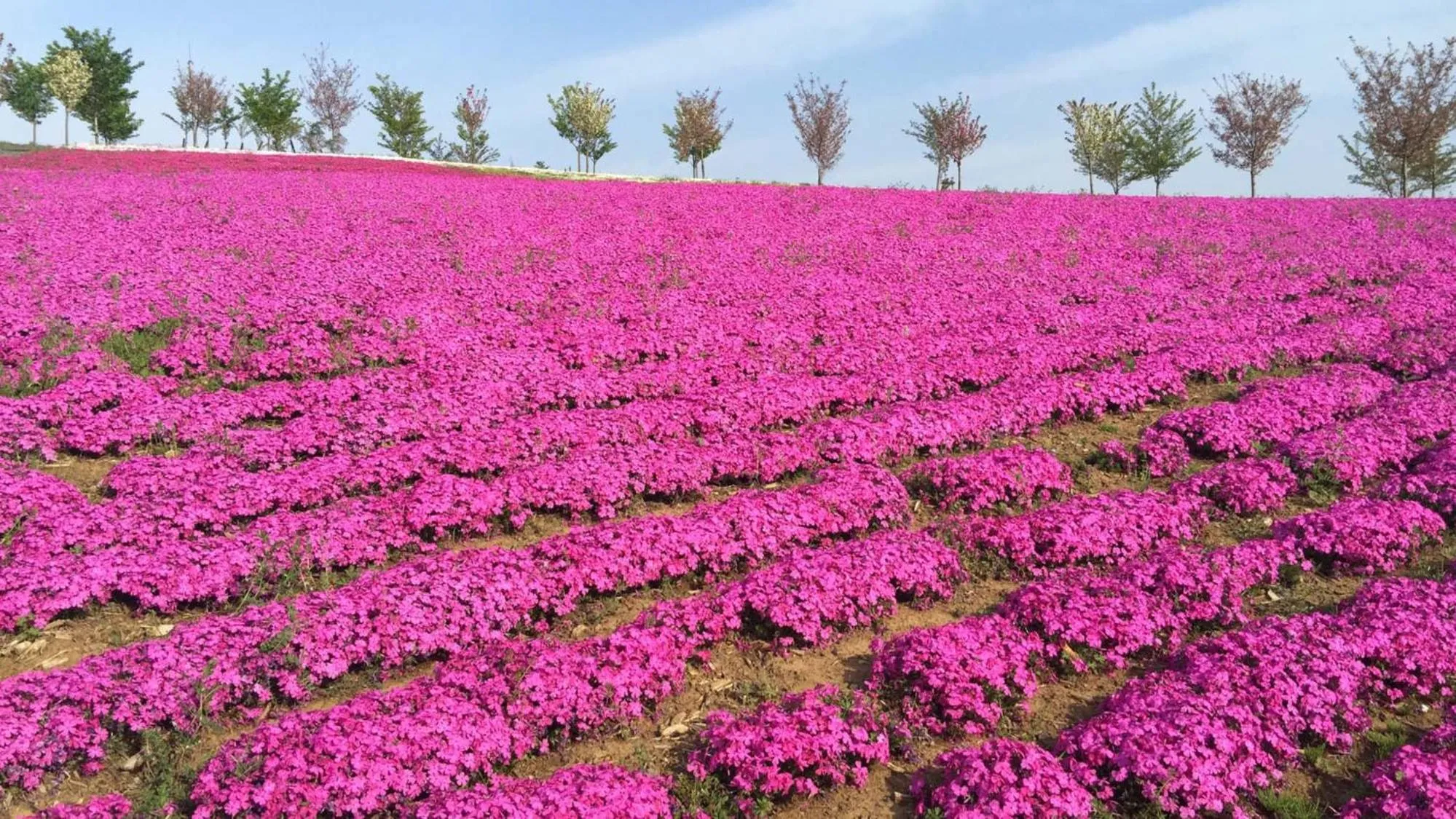 Nearby landmark in Toyoko Inn Gumma Ota eki Minami guchi