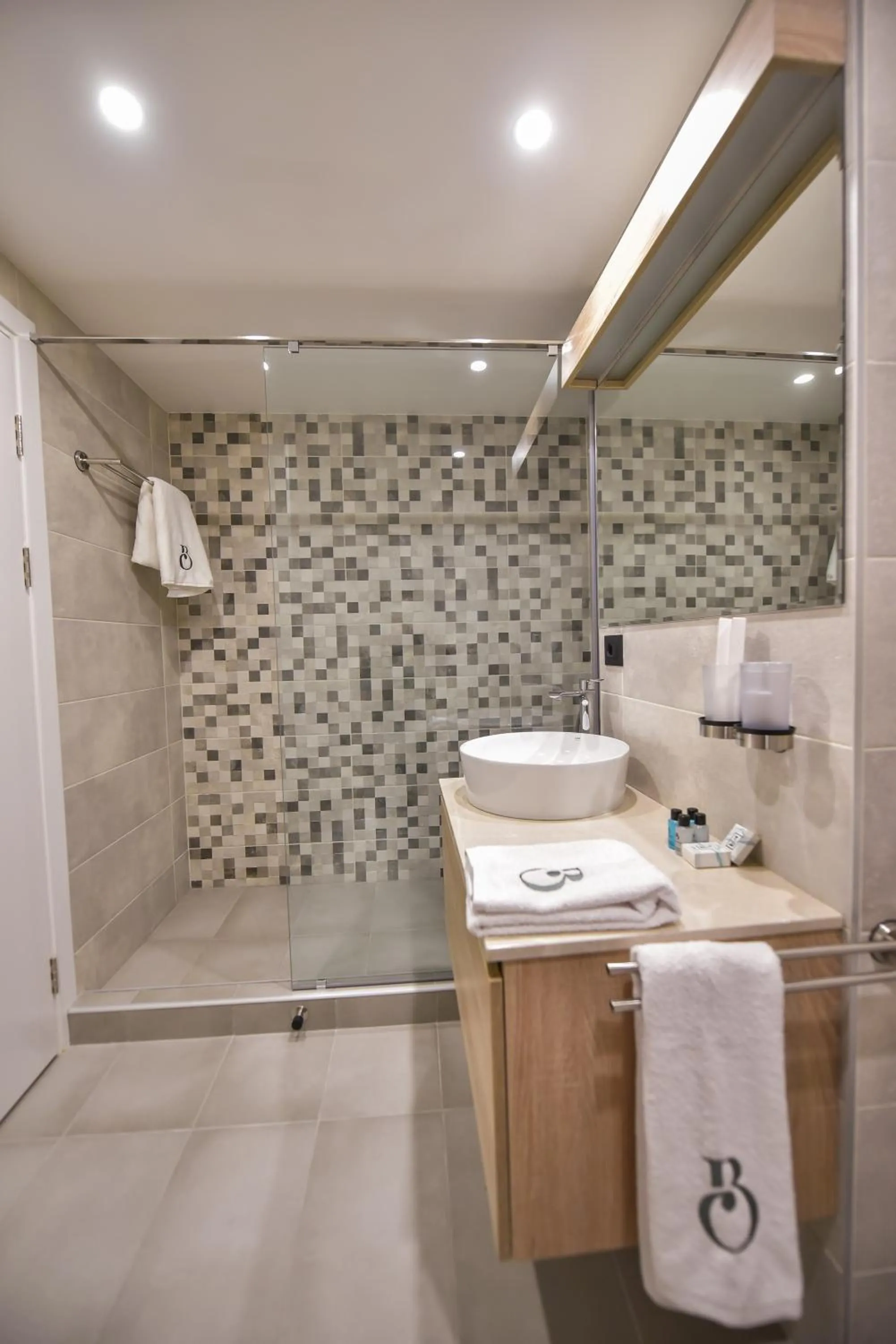 Shower in Baron Boutique Hotel Yerevan