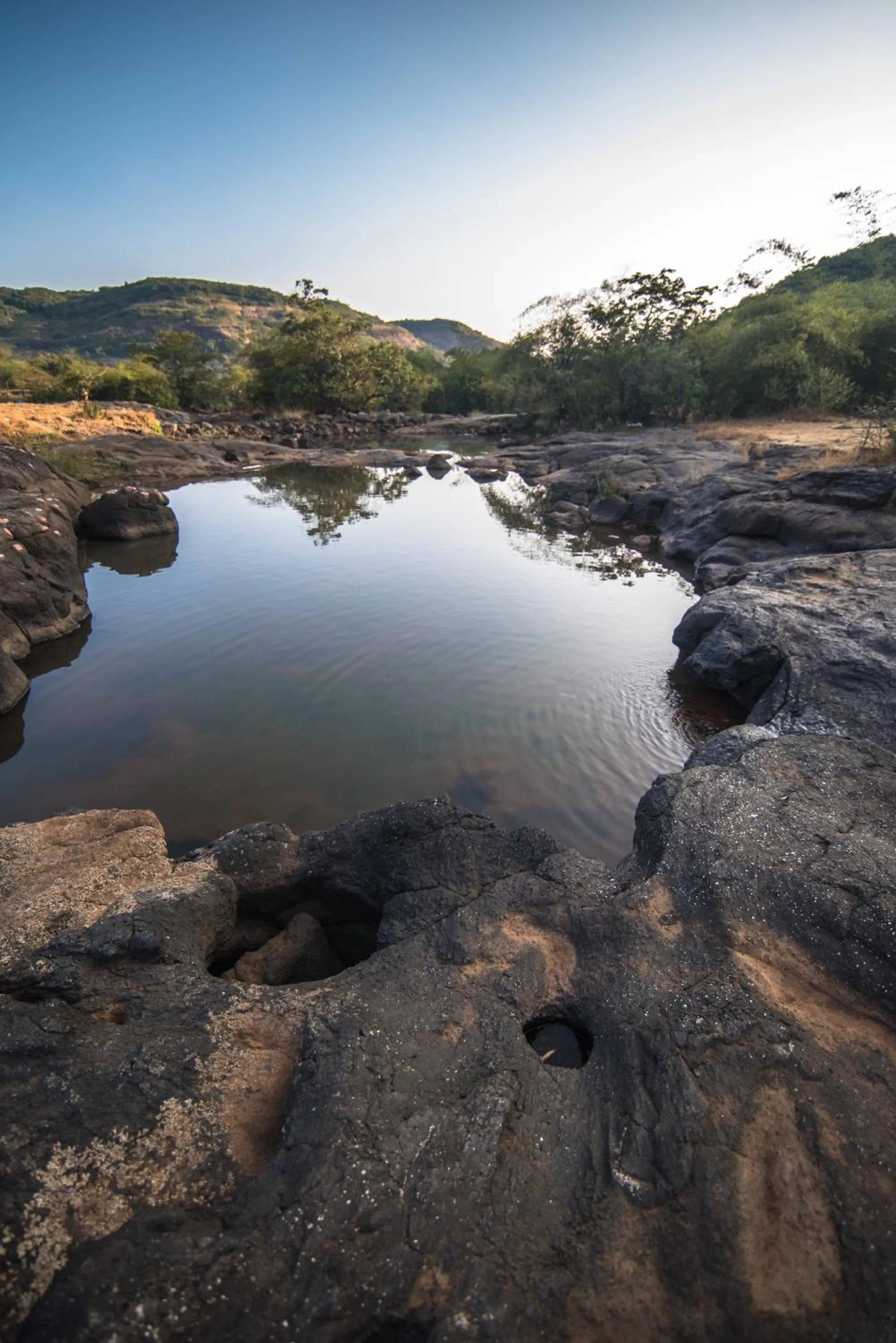 Mastiff Grand La Villae