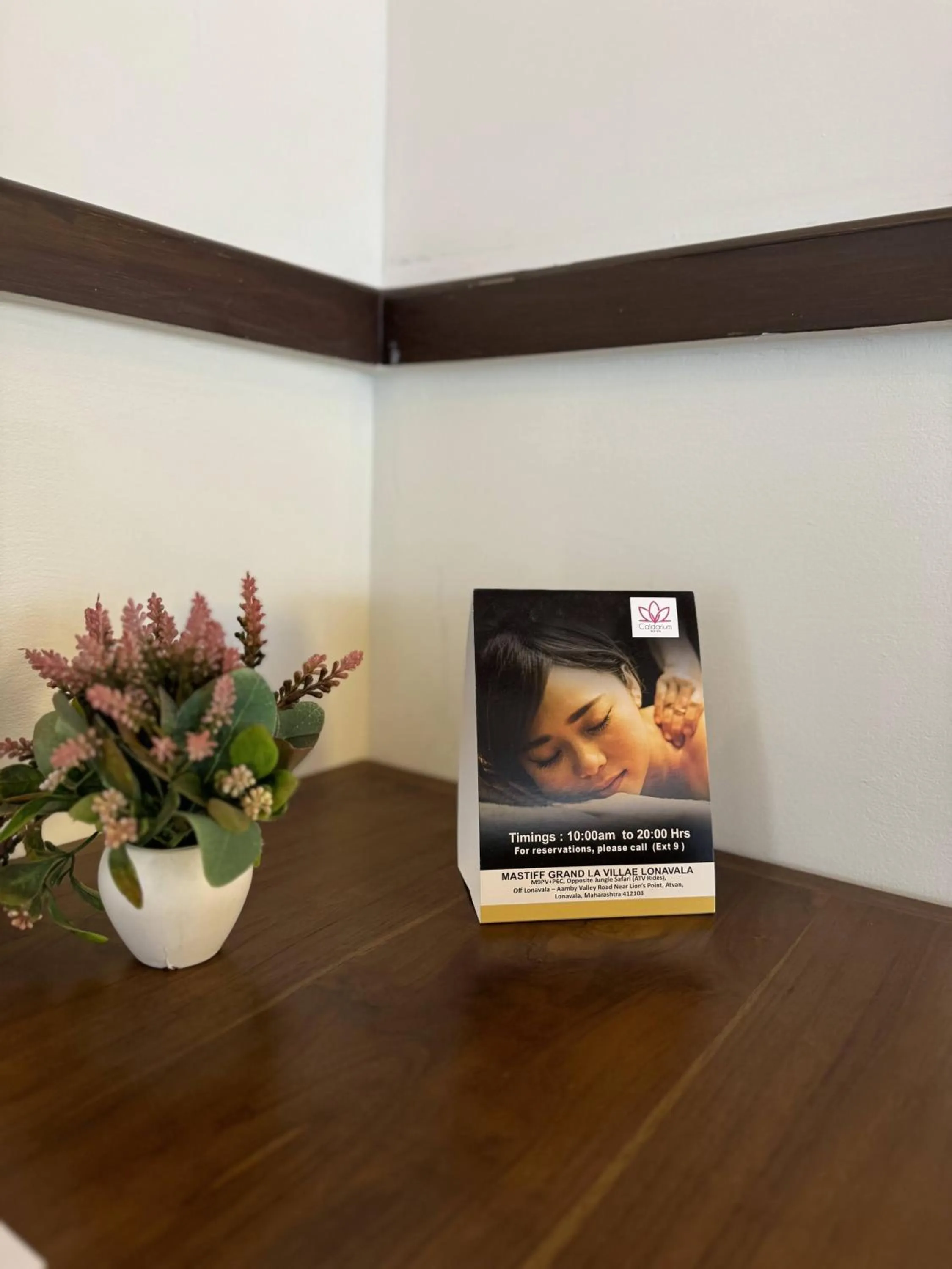 Mastiff Grand La Villae