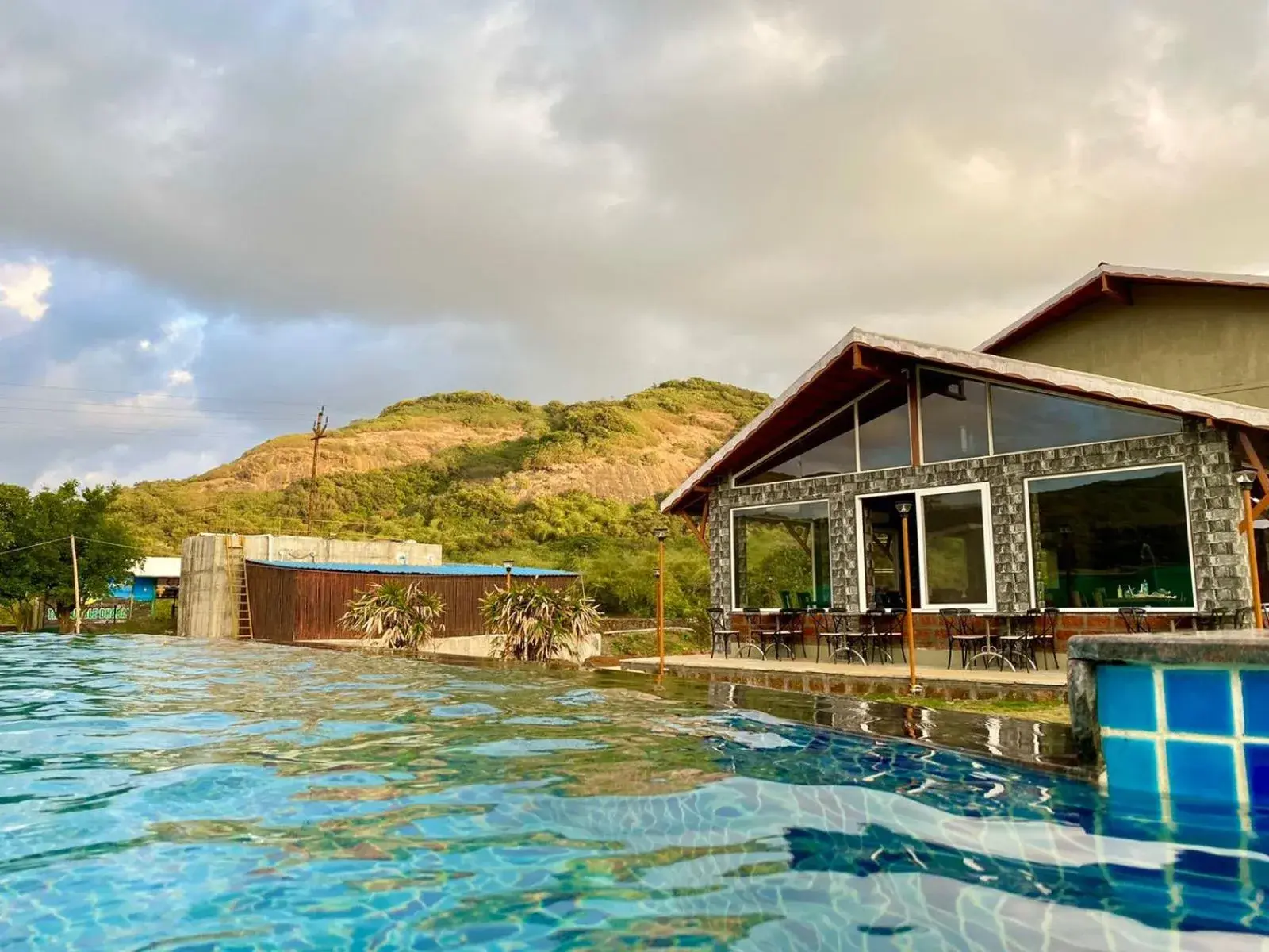 Mastiff Grand La Villae Mastiff Grand La Villae