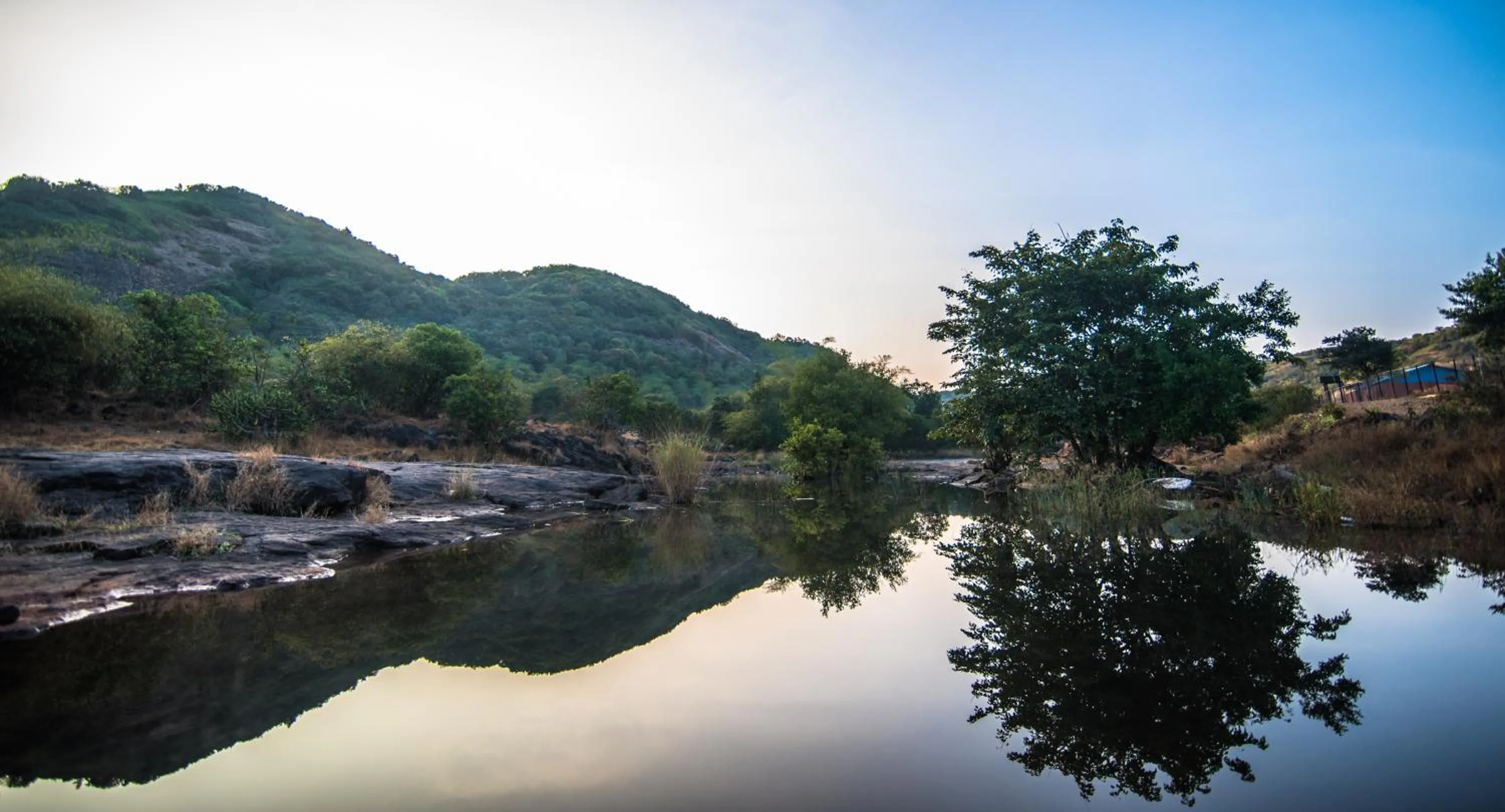 Mastiff Grand La Villae