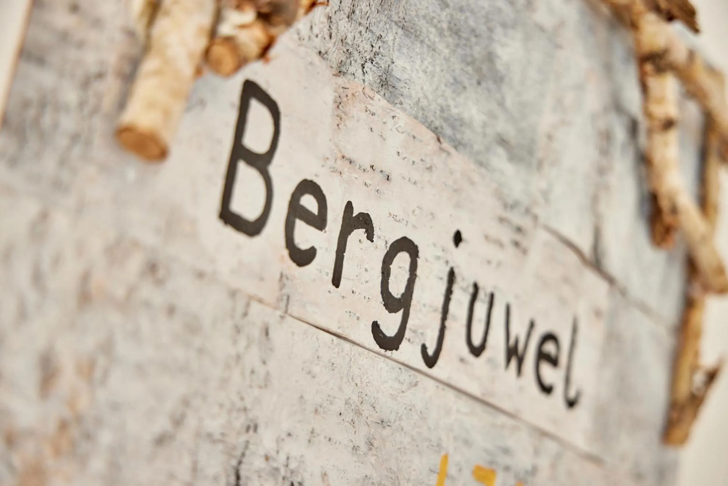 Decorative detail in BergJuwel