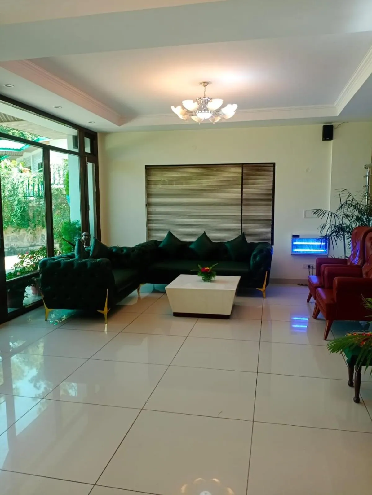 Pineland Resorts & Chalets Kasauli